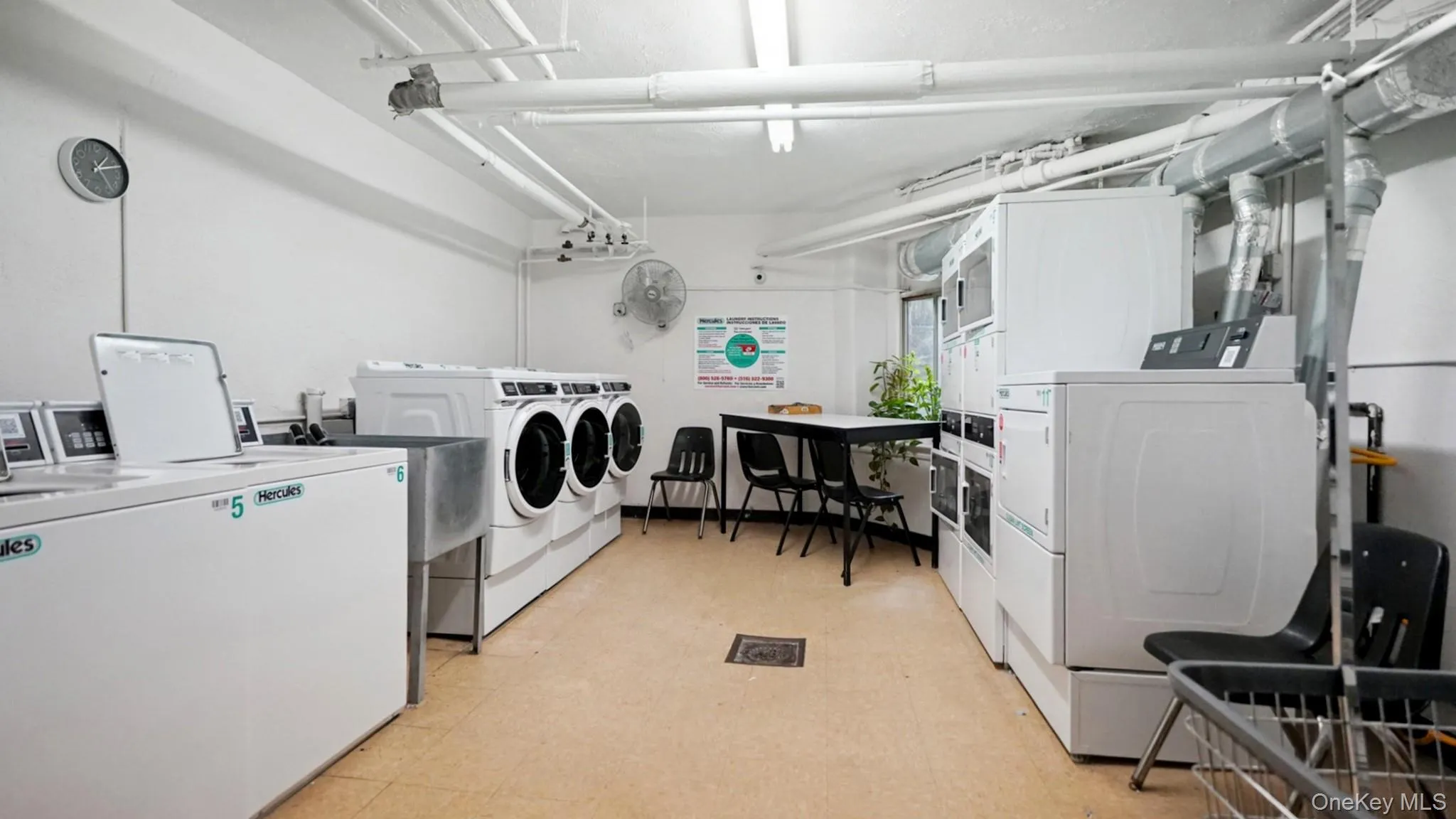 100 Parkway, Eastchester, NY, 1 Bedroom Bedrooms, 4 Rooms Rooms,1 BathroomBathrooms,Residential,For Rent,Parkway,0,1001493 100 Parkway, Eastchester, NY, 1 Bedroom Bedrooms, 4 Rooms Rooms,1 BathroomBathrooms,Residential,For Rent,Parkway,0,1001493