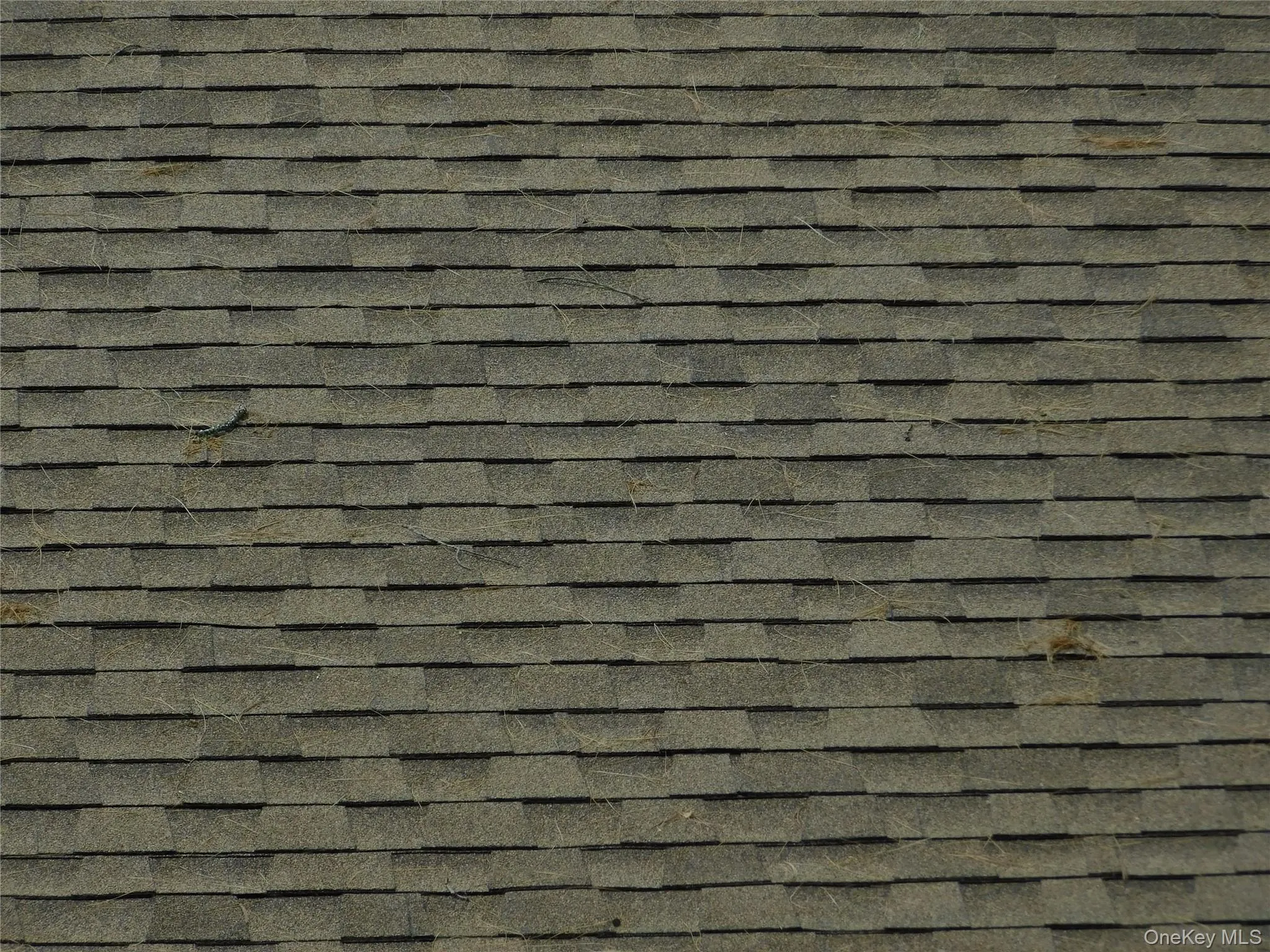 New Roof New Roof