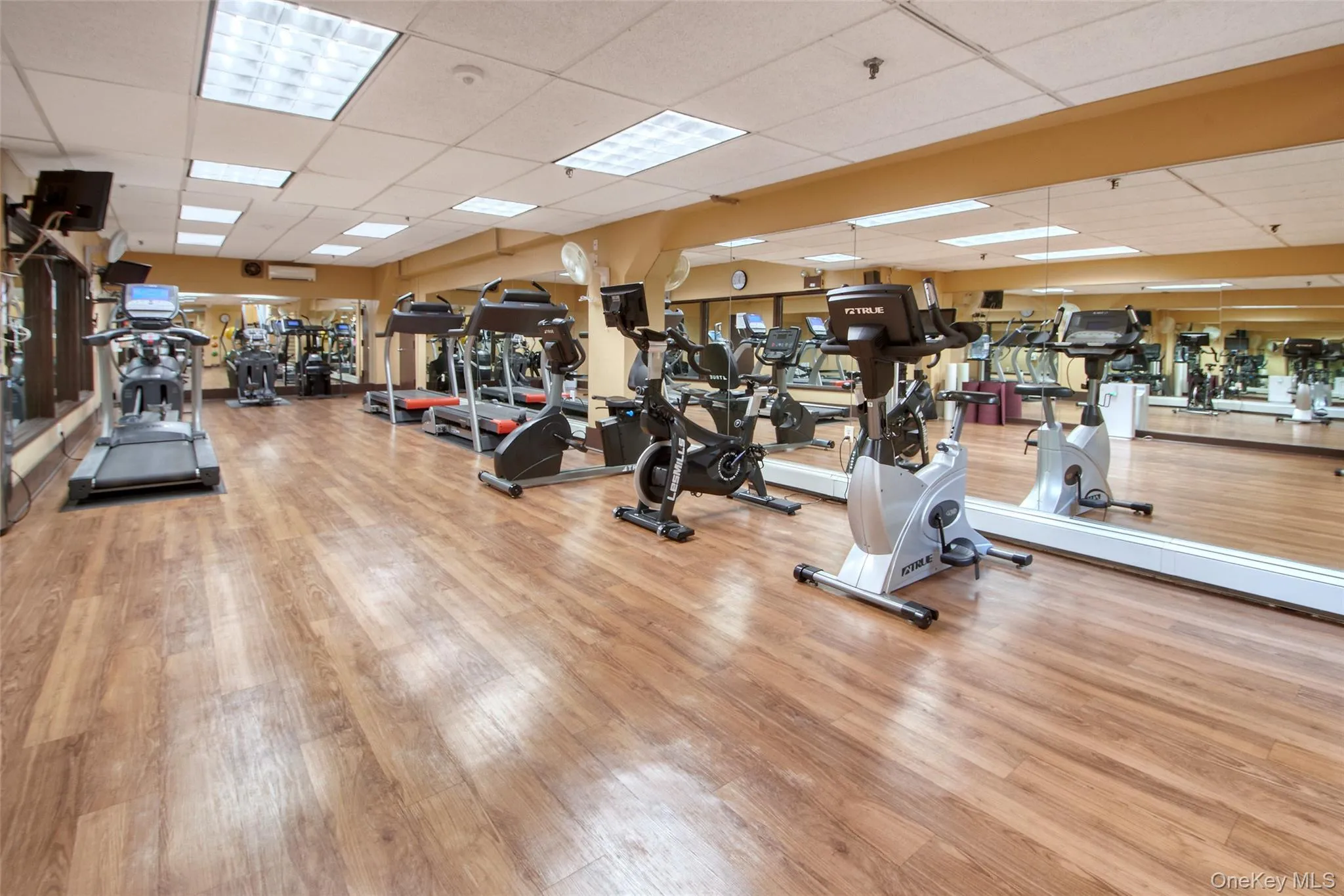 1120 Warburton Avenue, Yonkers, NY, 1 Bedroom Bedrooms, 3 Rooms Rooms,1 BathroomBathrooms,Residential,For Rent,Warburton,0,1001566 1120 Warburton Avenue, Yonkers, NY, 1 Bedroom Bedrooms, 3 Rooms Rooms,1 BathroomBathrooms,Residential,For Rent,Warburton,0,1001566
