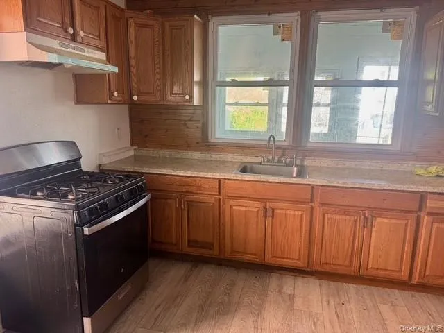 Kitchen featuring wood-finish flooring, light-toned countertops, and dual windows above the sink Kitchen featuring wood-finish flooring, light-toned countertops, and dual windows above the sink
