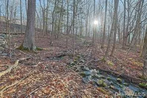 800 South Road, Mamakating, NY, 3 Bedrooms Bedrooms, 5 Rooms Rooms,2 BathroomsBathrooms,Residential Lease,For Rent,South,0,1001589 800 South Road, Mamakating, NY, 3 Bedrooms Bedrooms, 5 Rooms Rooms,2 BathroomsBathrooms,Residential Lease,For Rent,South,0,1001589