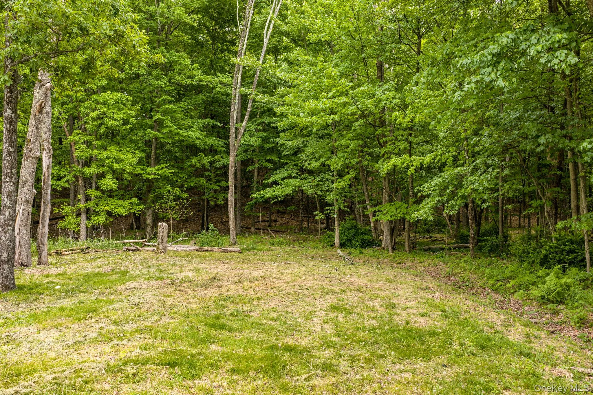 225 Upper Road, Mamakating, NY, 3 Bedrooms Bedrooms, 8 Rooms Rooms,2 BathroomsBathrooms,Residential,For Rent,Upper,0,1001596 225 Upper Road, Mamakating, NY, 3 Bedrooms Bedrooms, 8 Rooms Rooms,2 BathroomsBathrooms,Residential,For Rent,Upper,0,1001596