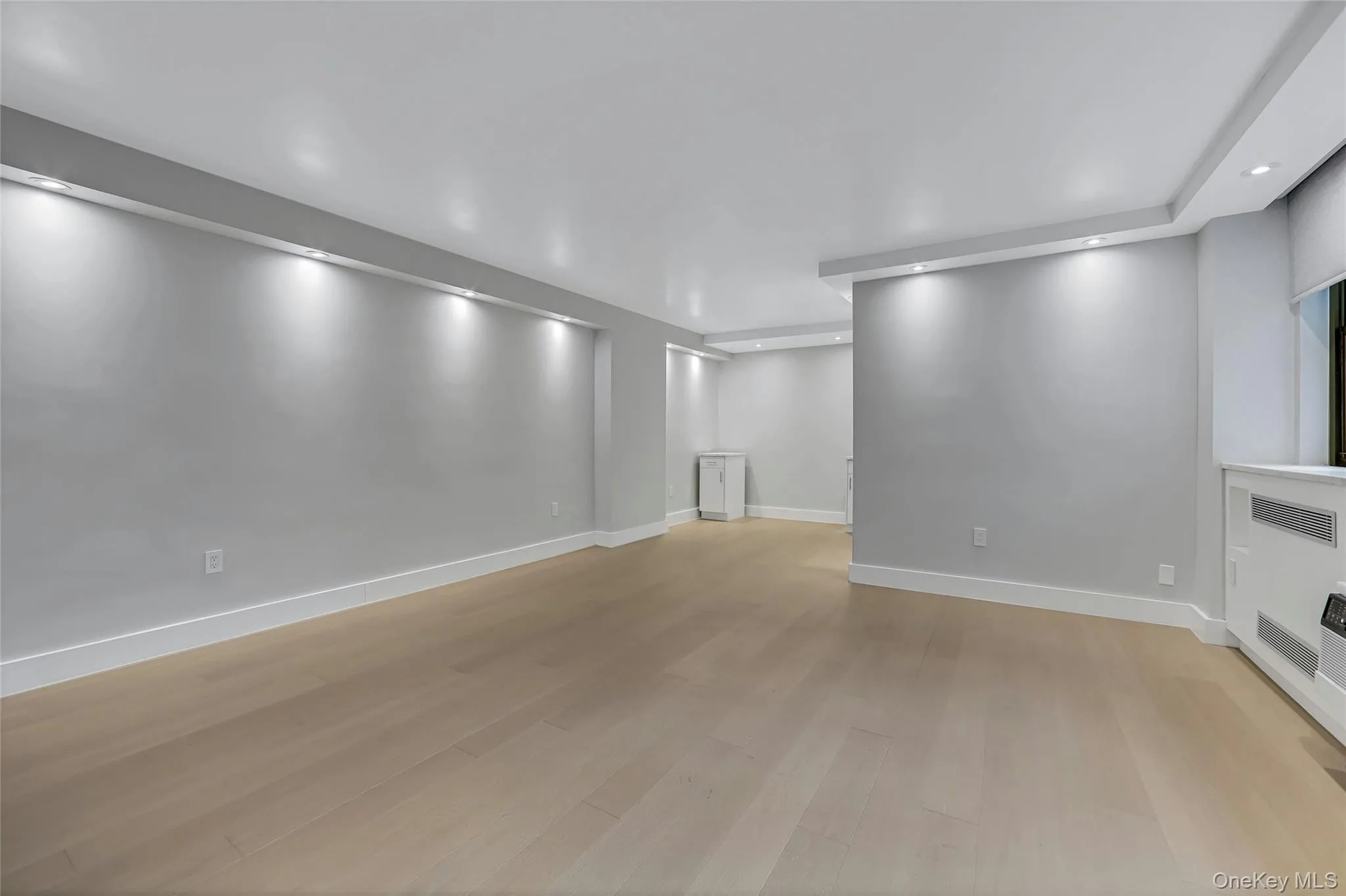 Spacious room featuring light wood-finish flooring, recessed lighting, white baseboards, and a built-in radiator cover Spacious room featuring light wood-finish flooring, recessed lighting, white baseboards, and a built-in radiator cover