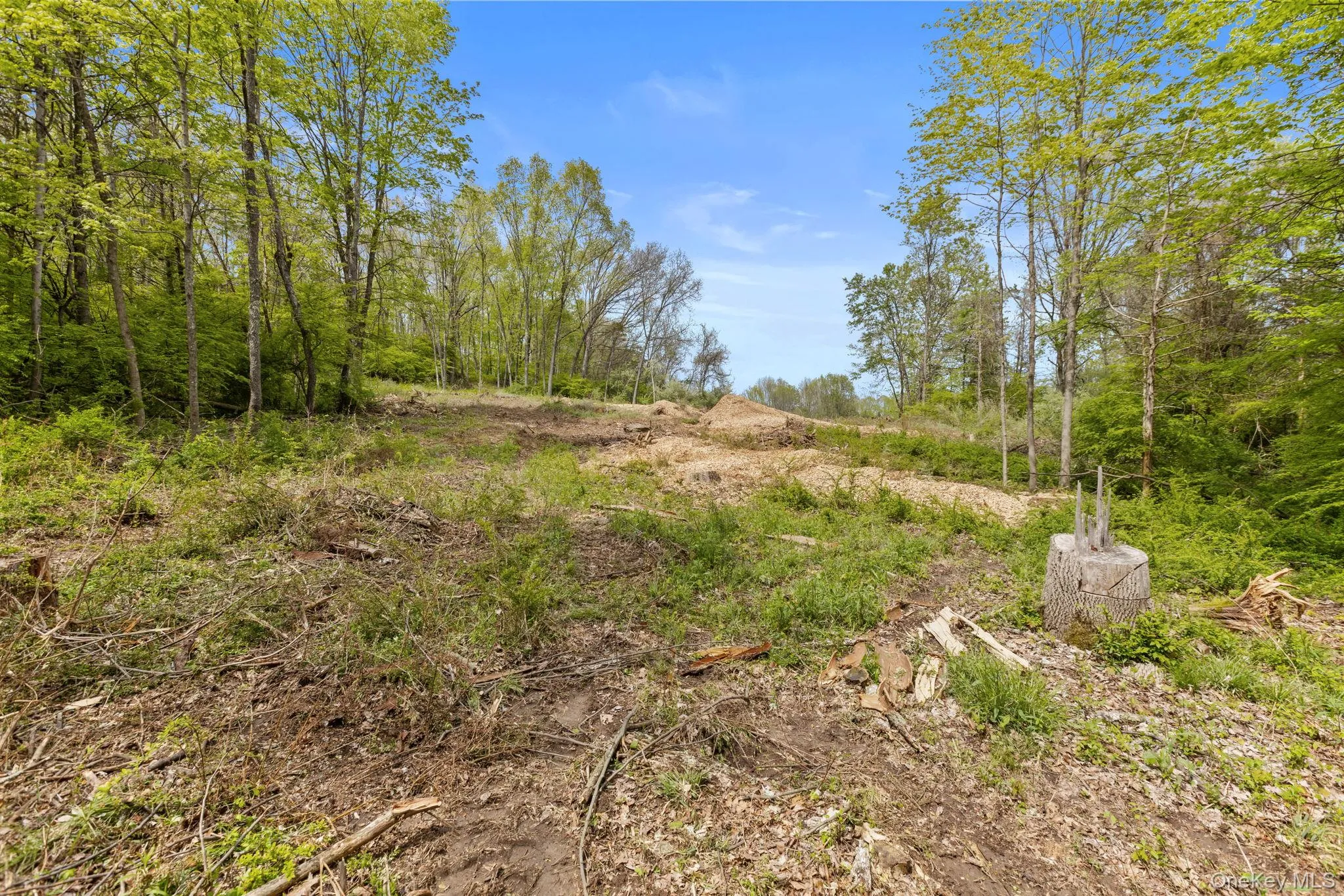 Perfect place to build a spacious home Perfect place to build a spacious home