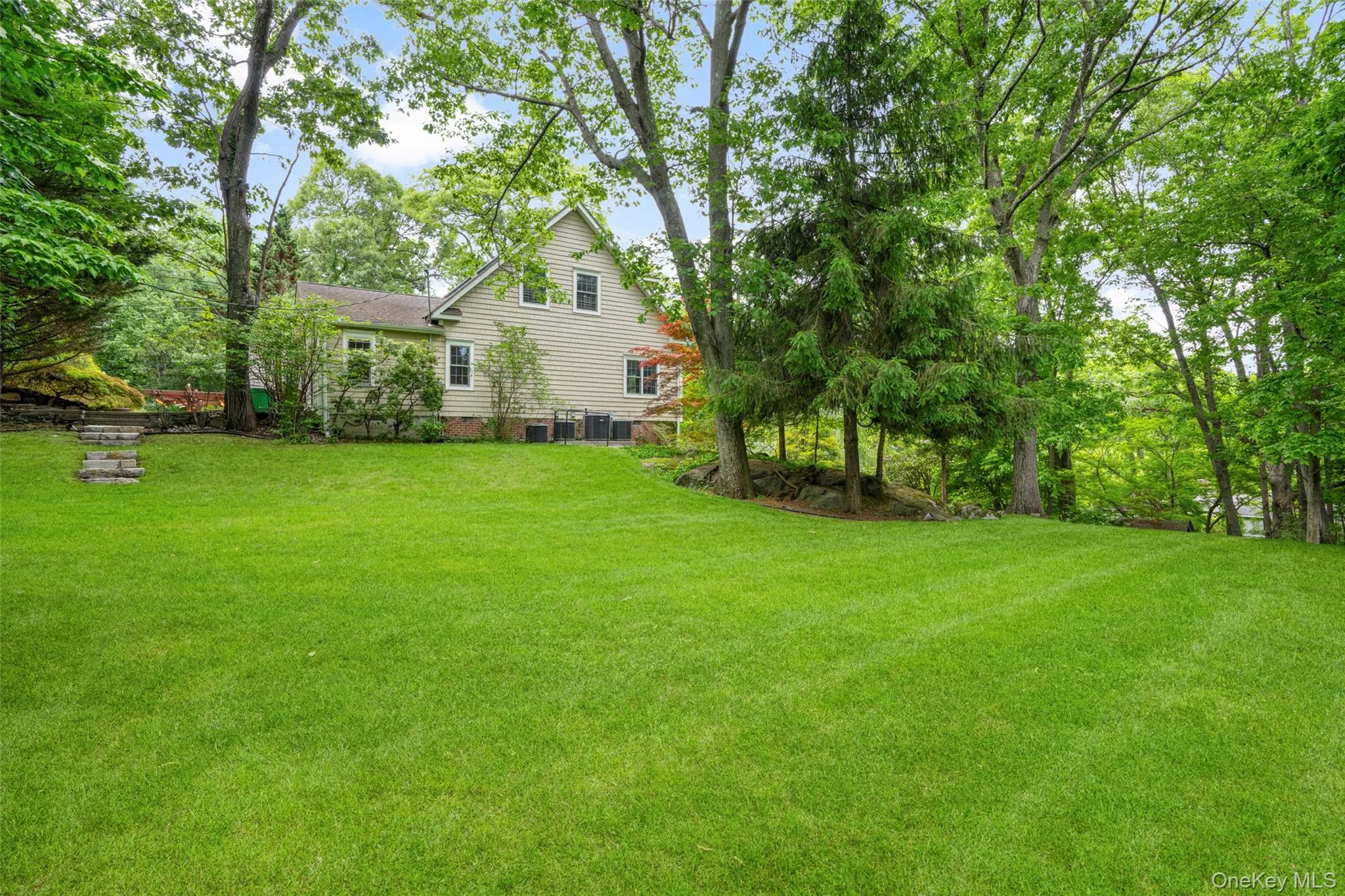 Lush, flat backyard Lush, flat backyard