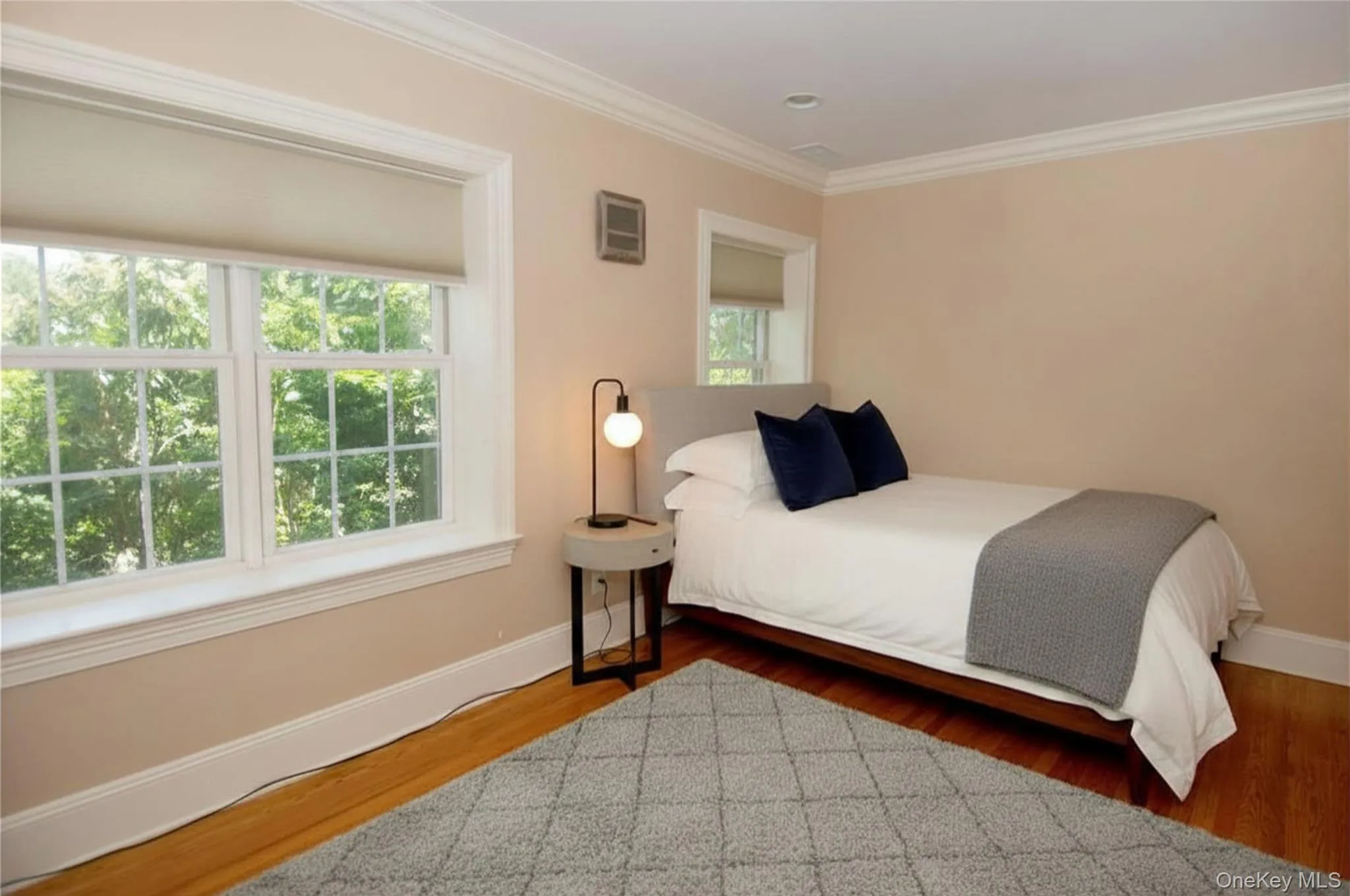 Virtually StagedLower level Bedroom Virtually StagedLower level Bedroom