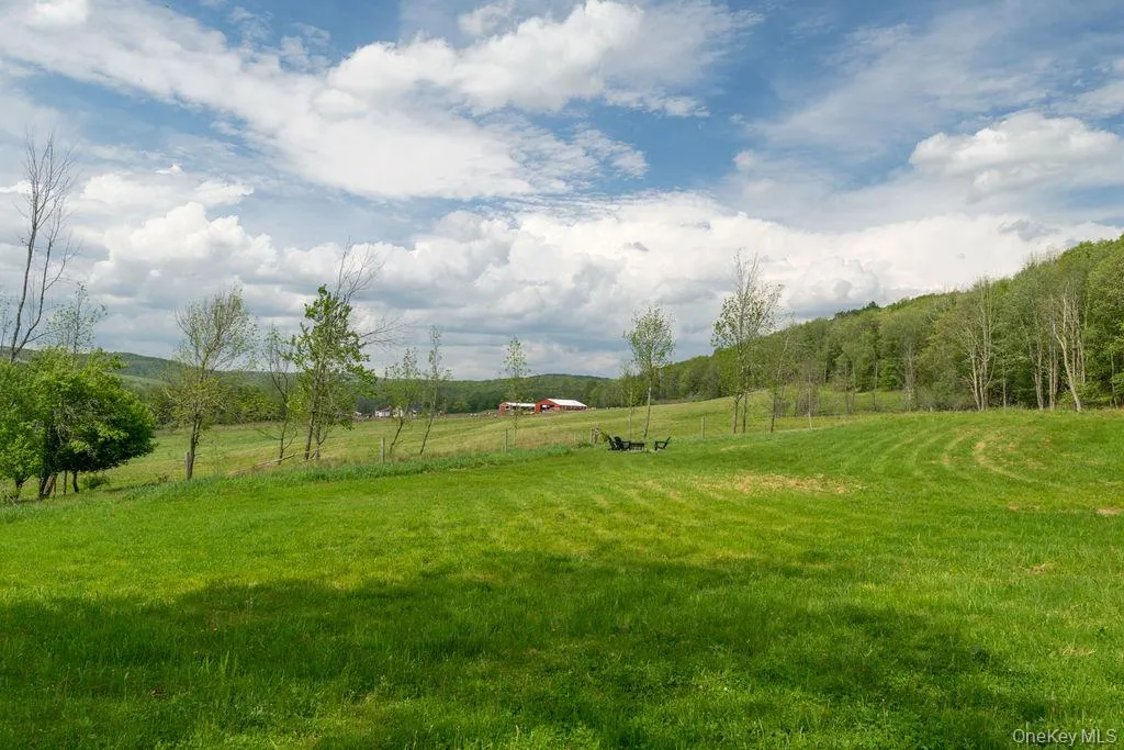47 Hemmer Road, Callicoon, NY, 2 Bedrooms Bedrooms, 5 Rooms Rooms,2 BathroomsBathrooms,Residential,For Rent,Hemmer,0,1001658 47 Hemmer Road, Callicoon, NY, 2 Bedrooms Bedrooms, 5 Rooms Rooms,2 BathroomsBathrooms,Residential,For Rent,Hemmer,0,1001658