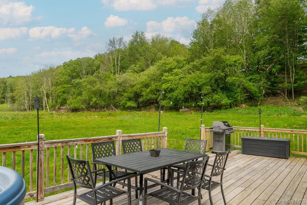 47 Hemmer Road, Callicoon, NY, 2 Bedrooms Bedrooms, 5 Rooms Rooms,2 BathroomsBathrooms,Residential,For Rent,Hemmer,0,1001658 47 Hemmer Road, Callicoon, NY, 2 Bedrooms Bedrooms, 5 Rooms Rooms,2 BathroomsBathrooms,Residential,For Rent,Hemmer,0,1001658