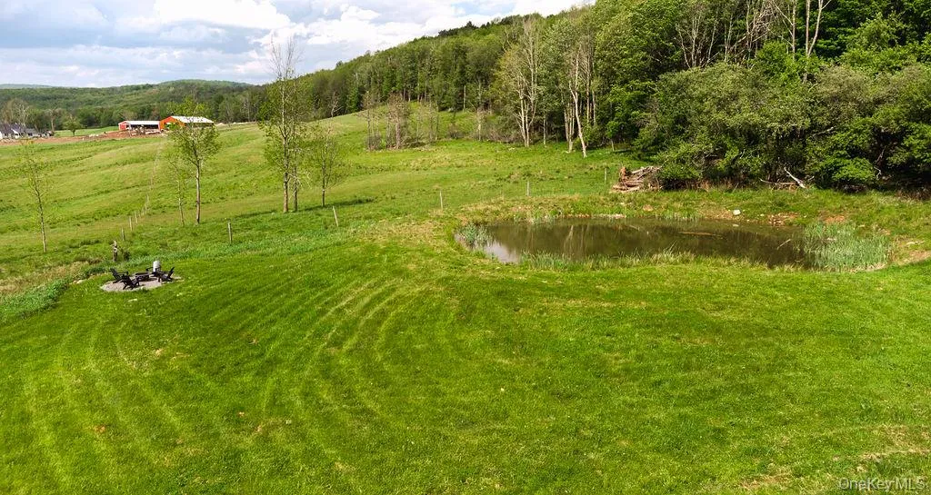 47 Hemmer Road, Callicoon, NY, 2 Bedrooms Bedrooms, 5 Rooms Rooms,2 BathroomsBathrooms,Residential,For Rent,Hemmer,0,1001658 47 Hemmer Road, Callicoon, NY, 2 Bedrooms Bedrooms, 5 Rooms Rooms,2 BathroomsBathrooms,Residential,For Rent,Hemmer,0,1001658