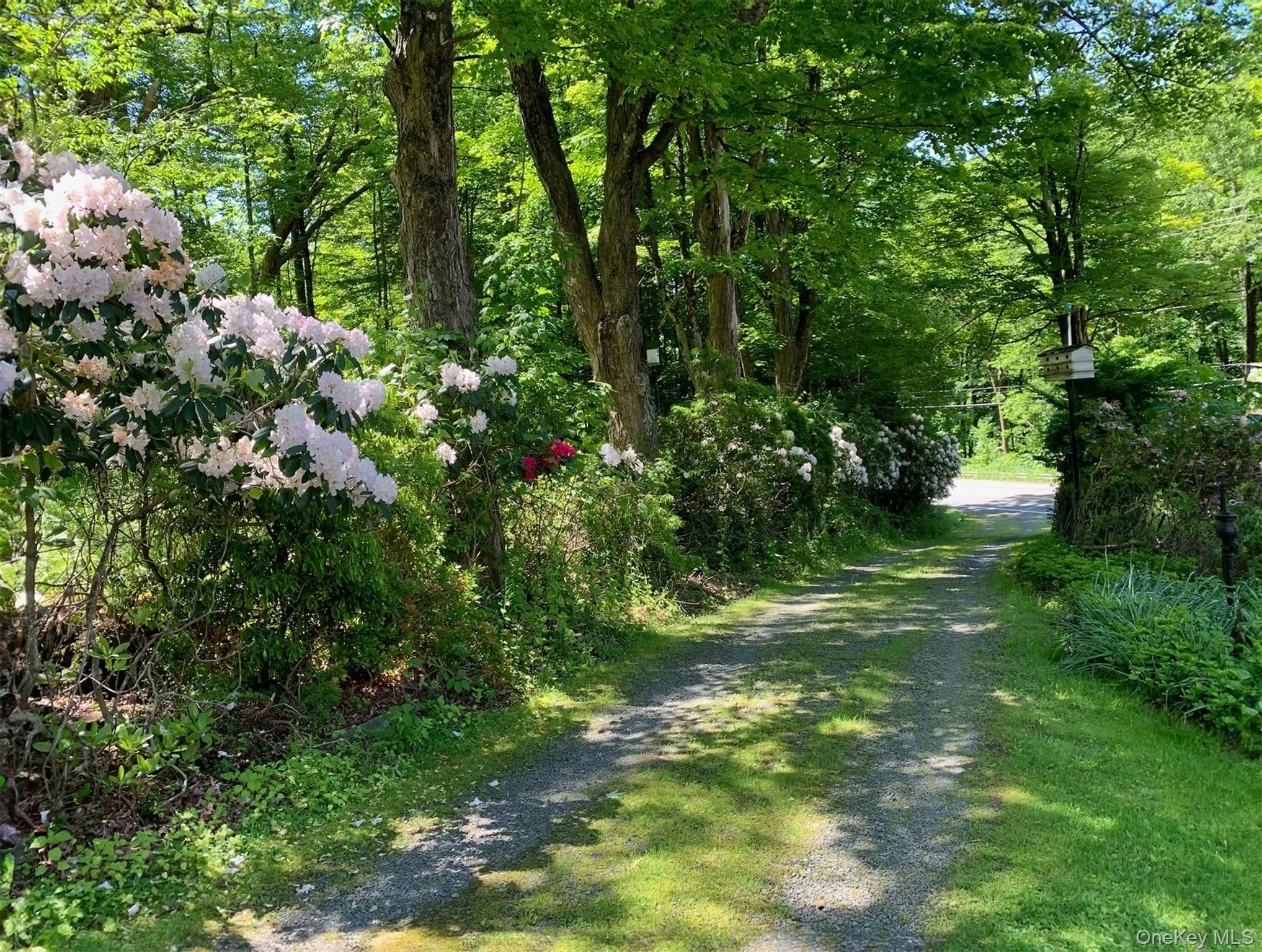 View of dirt / gravel road with a view of trees View of dirt / gravel road with a view of trees