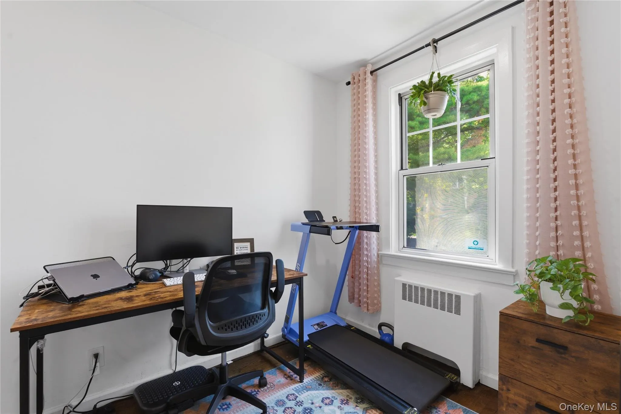 Bonus room Bonus room