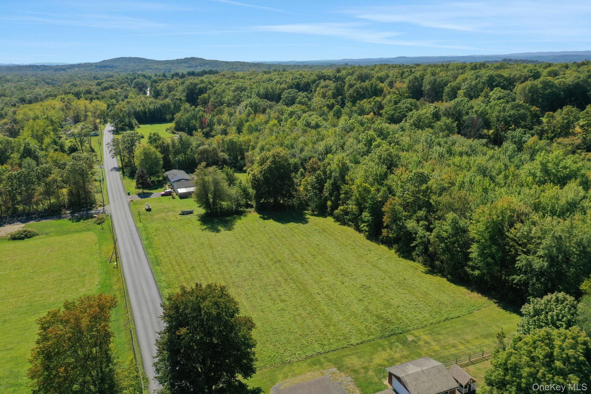 TBD Forest Road, Plattekill, NY, ,Land,For Rent,Forest,0,1001704 TBD Forest Road, Plattekill, NY, ,Land,For Rent,Forest,0,1001704