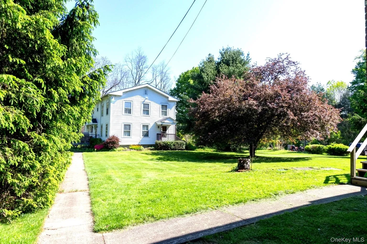 Expansive green lawn with mature trees providing natural shading Expansive green lawn with mature trees providing natural shading