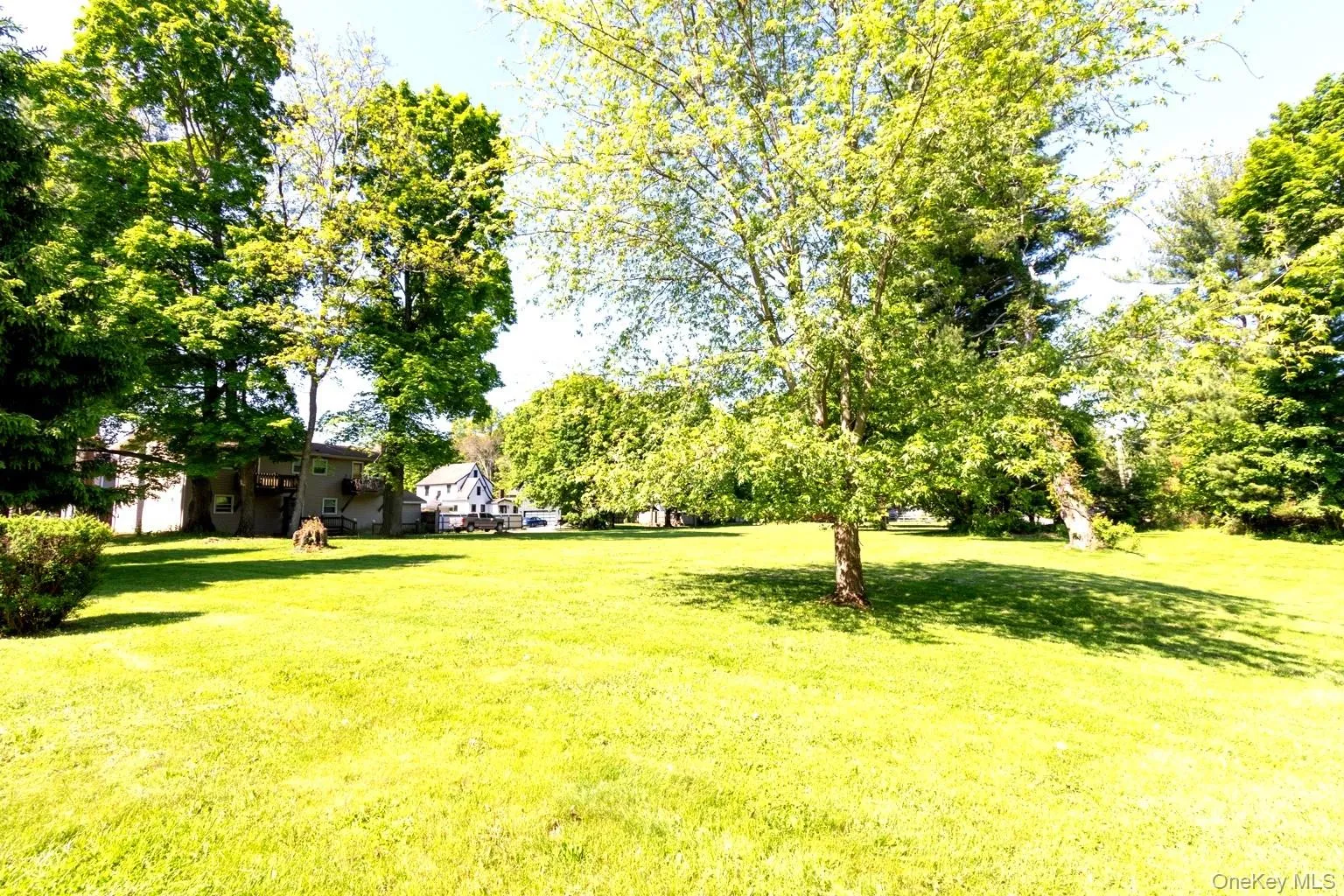 Expansive green lawn with mature trees providing natural shading Expansive green lawn with mature trees providing natural shading