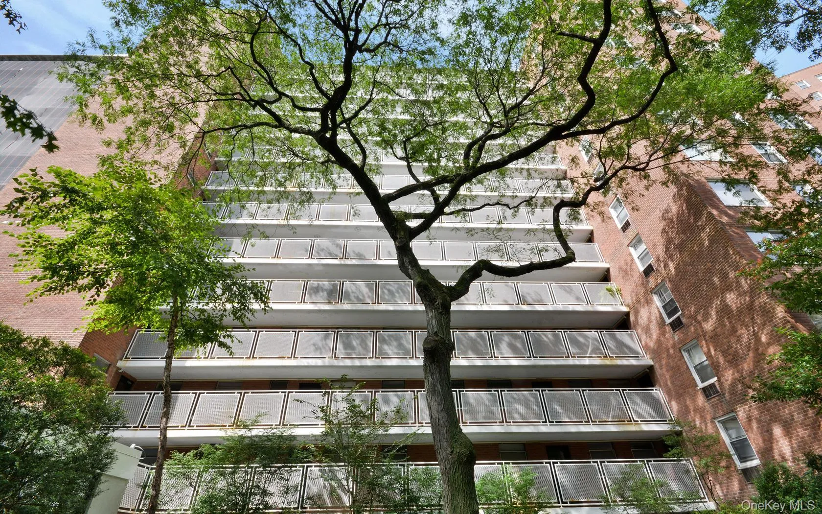 2575 Palisade Avenue, New York, NY, 1 Bedroom Bedrooms, 3 Rooms Rooms,1 BathroomBathrooms,Residential,For Rent,Palisade,0,1001742 2575 Palisade Avenue, New York, NY, 1 Bedroom Bedrooms, 3 Rooms Rooms,1 BathroomBathrooms,Residential,For Rent,Palisade,0,1001742