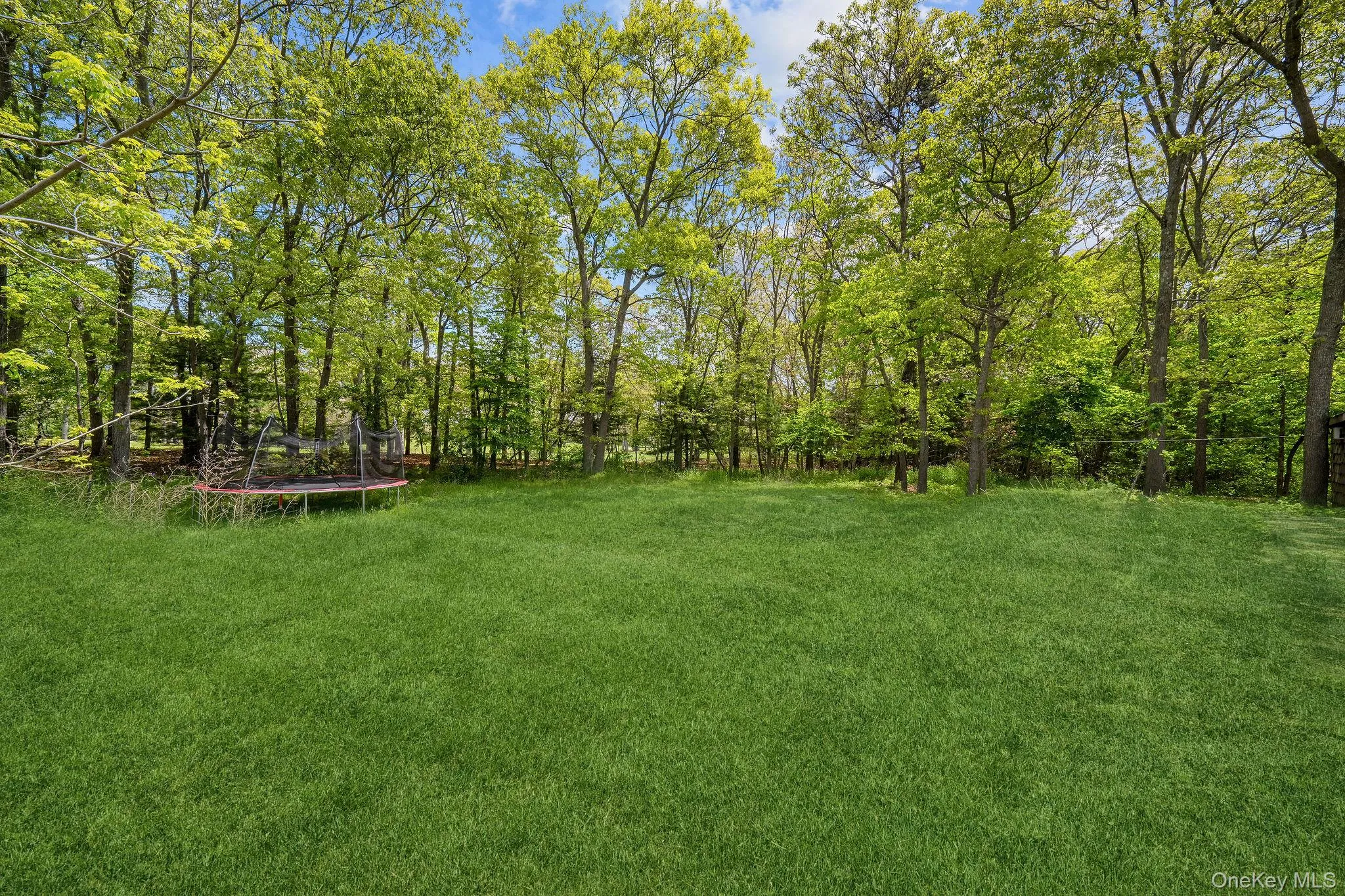 Expansive lawn area surrounded by mature deciduous trees Expansive lawn area surrounded by mature deciduous trees