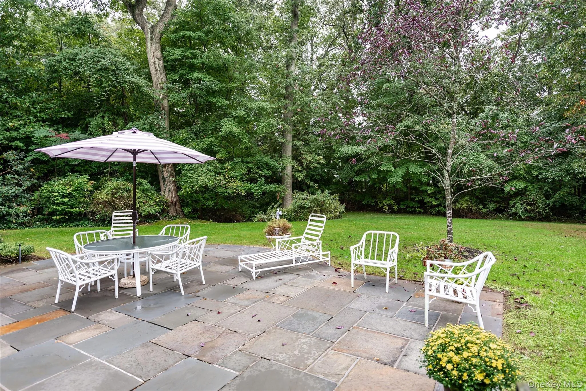 3 Peacock Pond Road, Glen Cove, NY, 3 Bedrooms Bedrooms, 8 Rooms Rooms,3 BathroomsBathrooms,Residential Sale,For Rent,Peacock Pond,0,1001766 3 Peacock Pond Road, Glen Cove, NY, 3 Bedrooms Bedrooms, 8 Rooms Rooms,3 BathroomsBathrooms,Residential Sale,For Rent,Peacock Pond,0,1001766