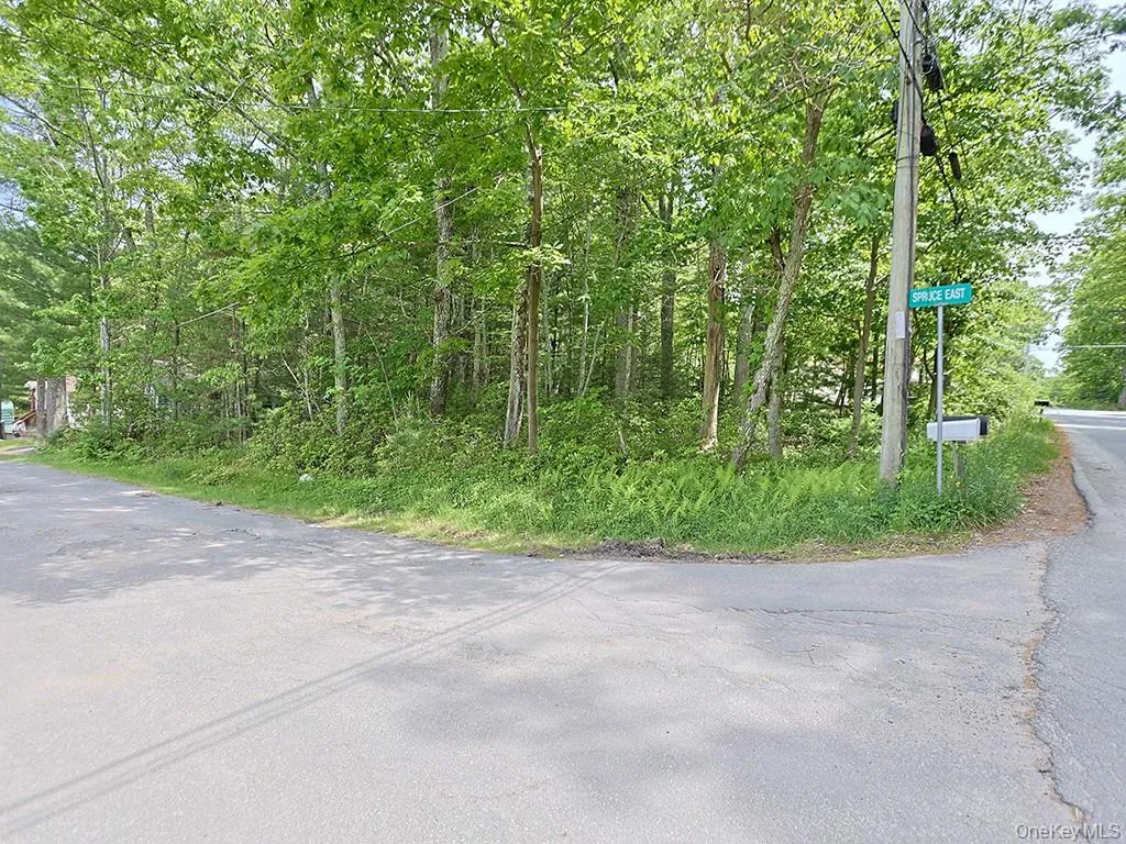 4 Spruce Street, Mamakating, NY, 2 Bedrooms Bedrooms, 5 Rooms Rooms,1 BathroomBathrooms,Residential,For Rent,Spruce,0,1001776 4 Spruce Street, Mamakating, NY, 2 Bedrooms Bedrooms, 5 Rooms Rooms,1 BathroomBathrooms,Residential,For Rent,Spruce,0,1001776