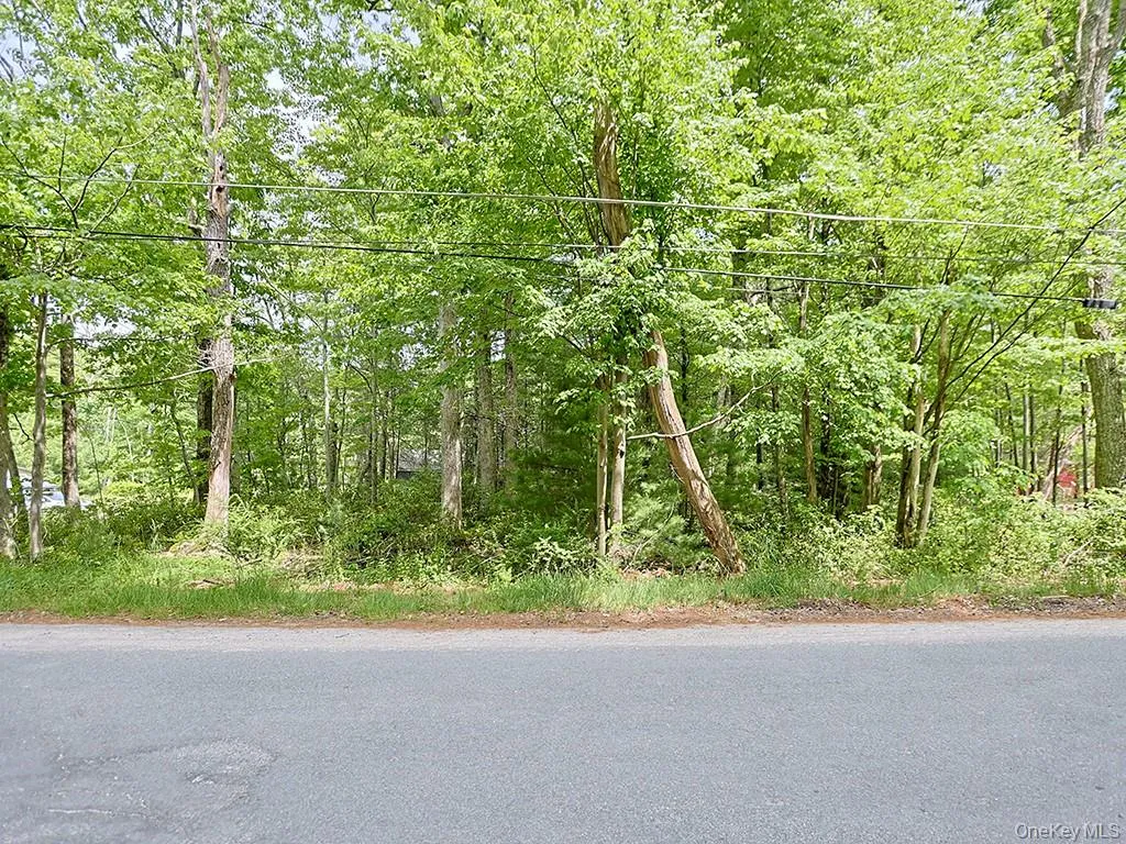 4 Spruce Street, Mamakating, NY, 2 Bedrooms Bedrooms, 5 Rooms Rooms,1 BathroomBathrooms,Residential,For Rent,Spruce,0,1001776 4 Spruce Street, Mamakating, NY, 2 Bedrooms Bedrooms, 5 Rooms Rooms,1 BathroomBathrooms,Residential,For Rent,Spruce,0,1001776