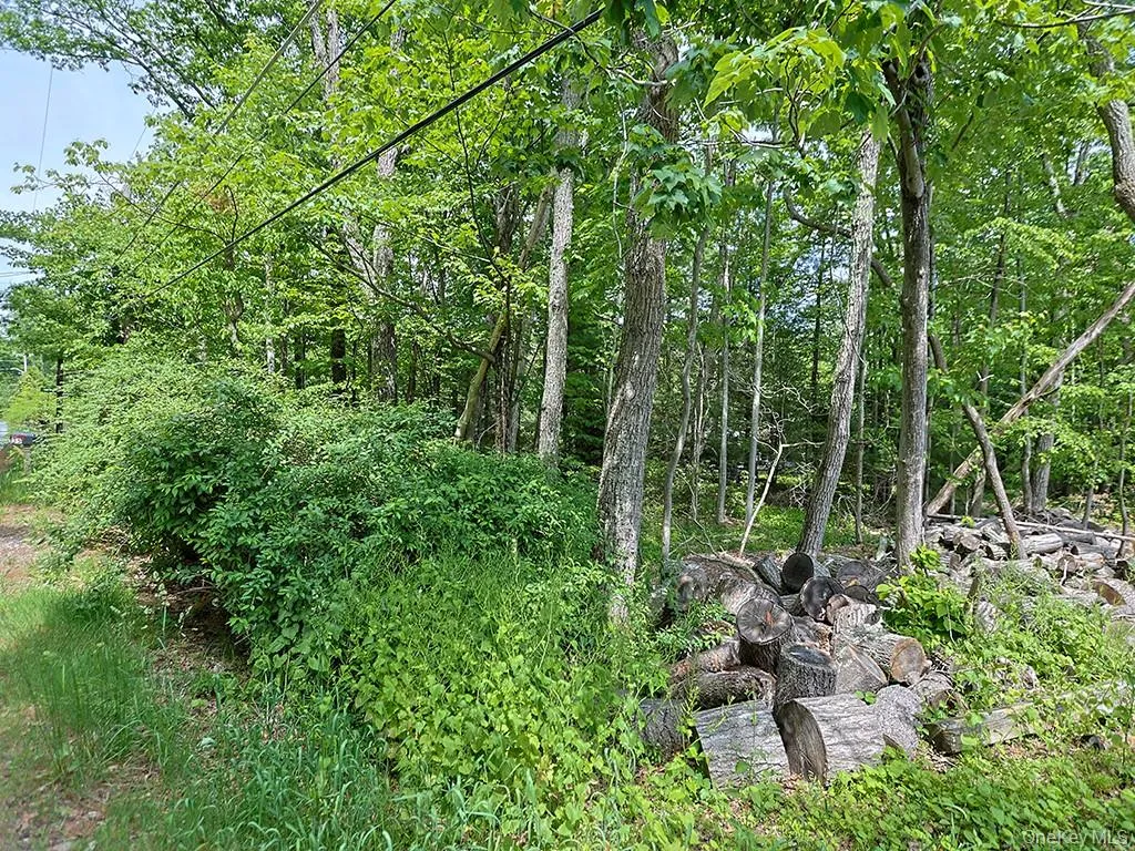 4 Spruce Street, Mamakating, NY, 2 Bedrooms Bedrooms, 5 Rooms Rooms,1 BathroomBathrooms,Residential,For Rent,Spruce,0,1001776 4 Spruce Street, Mamakating, NY, 2 Bedrooms Bedrooms, 5 Rooms Rooms,1 BathroomBathrooms,Residential,For Rent,Spruce,0,1001776