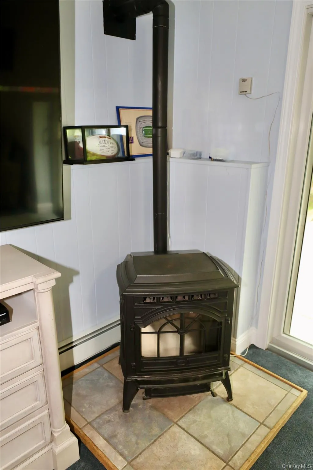 Lower level wood burning stove Lower level wood burning stove