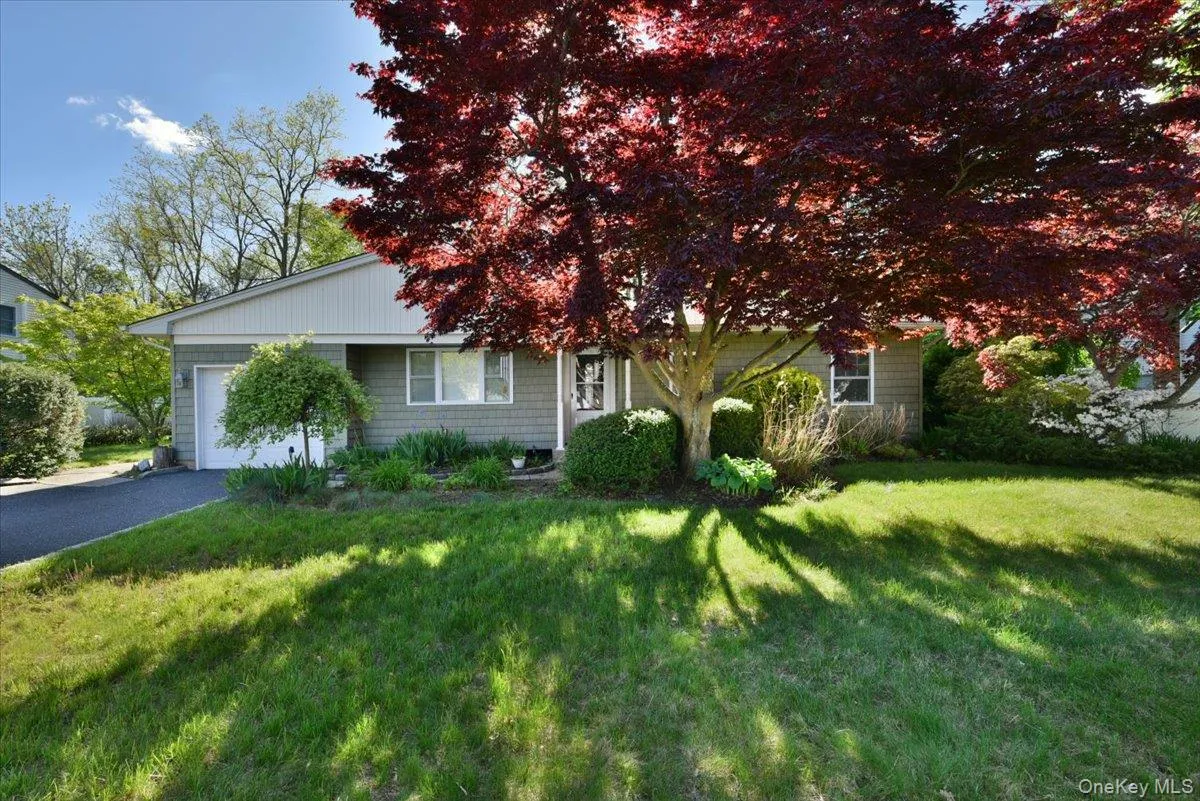 20 Dumond Place, Brookhaven, NY, 3 Bedrooms Bedrooms, 9 Rooms Rooms,2 BathroomsBathrooms,Residential,For Rent,Dumond,0,1001788 20 Dumond Place, Brookhaven, NY, 3 Bedrooms Bedrooms, 9 Rooms Rooms,2 BathroomsBathrooms,Residential,For Rent,Dumond,0,1001788