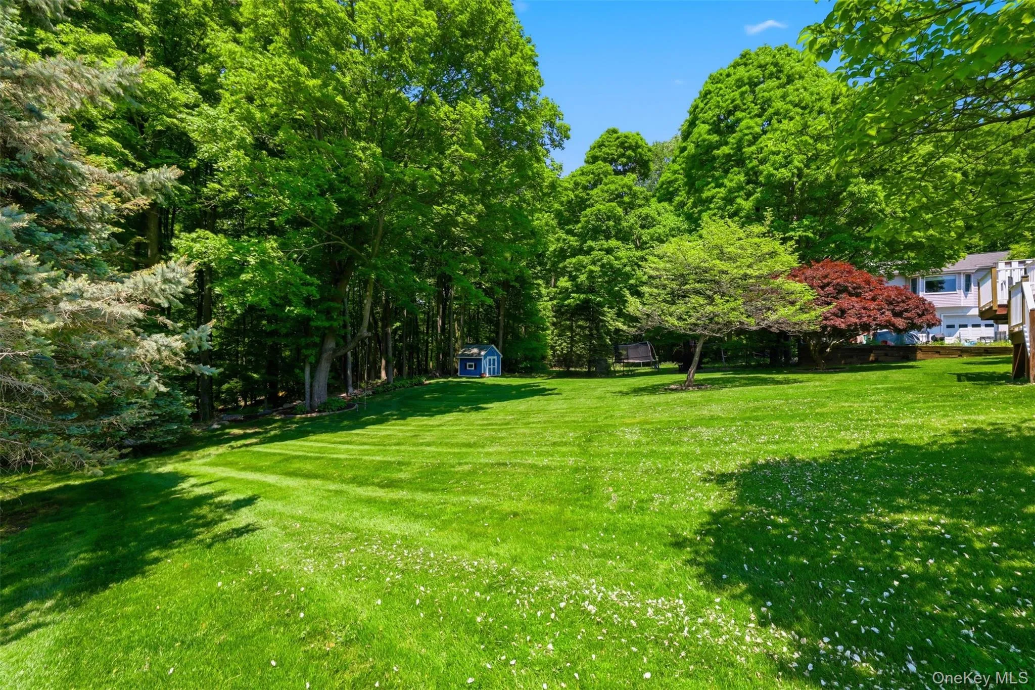 9 Wagon Trail Road, Beekman, NY, 3 Bedrooms Bedrooms, 6 Rooms Rooms,2 BathroomsBathrooms,Residential,For Rent,Wagon Trail,0,1001829 9 Wagon Trail Road, Beekman, NY, 3 Bedrooms Bedrooms, 6 Rooms Rooms,2 BathroomsBathrooms,Residential,For Rent,Wagon Trail,0,1001829