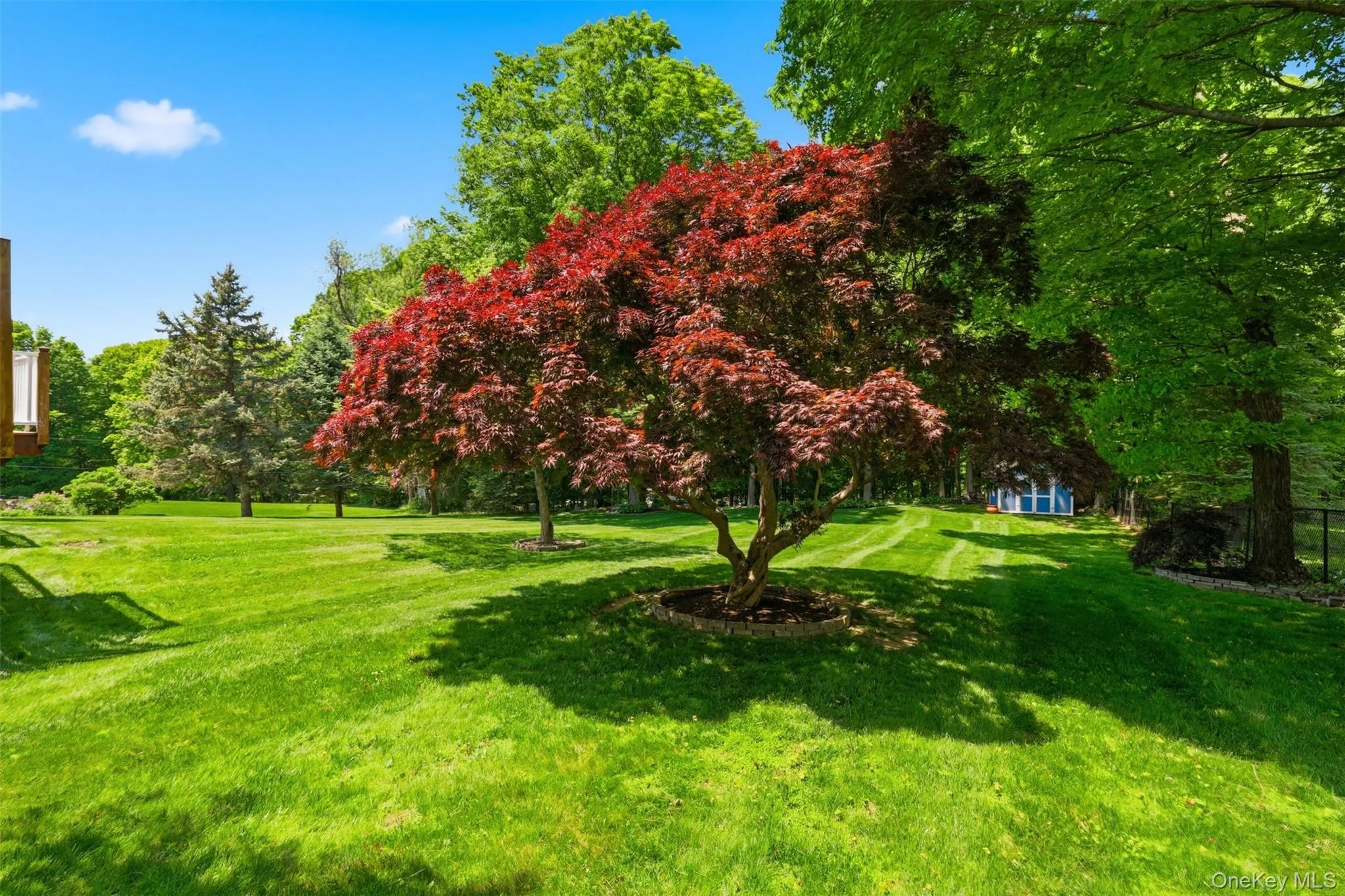 9 Wagon Trail Road, Beekman, NY, 3 Bedrooms Bedrooms, 6 Rooms Rooms,2 BathroomsBathrooms,Residential,For Rent,Wagon Trail,0,1001829 9 Wagon Trail Road, Beekman, NY, 3 Bedrooms Bedrooms, 6 Rooms Rooms,2 BathroomsBathrooms,Residential,For Rent,Wagon Trail,0,1001829
