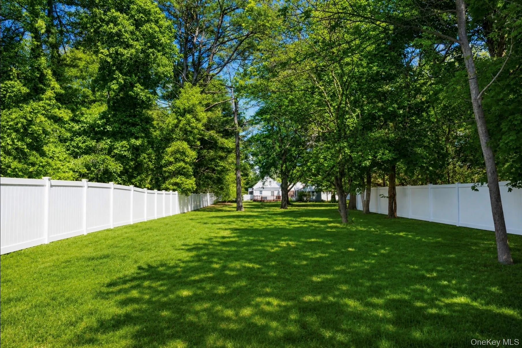 Yard view from back point of backyard Yard view from back point of backyard