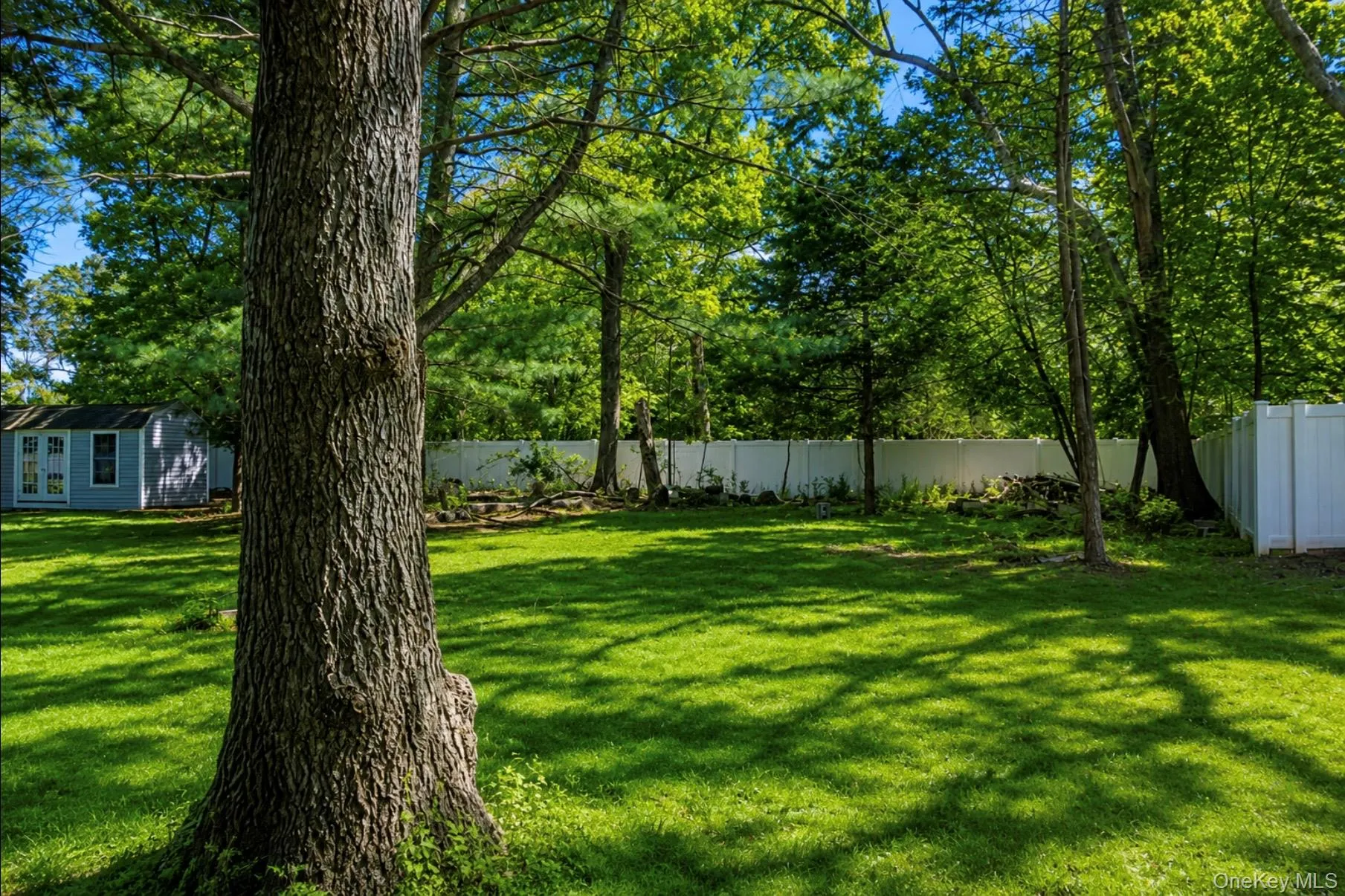 Yard view from middle point of backyard Yard view from middle point of backyard