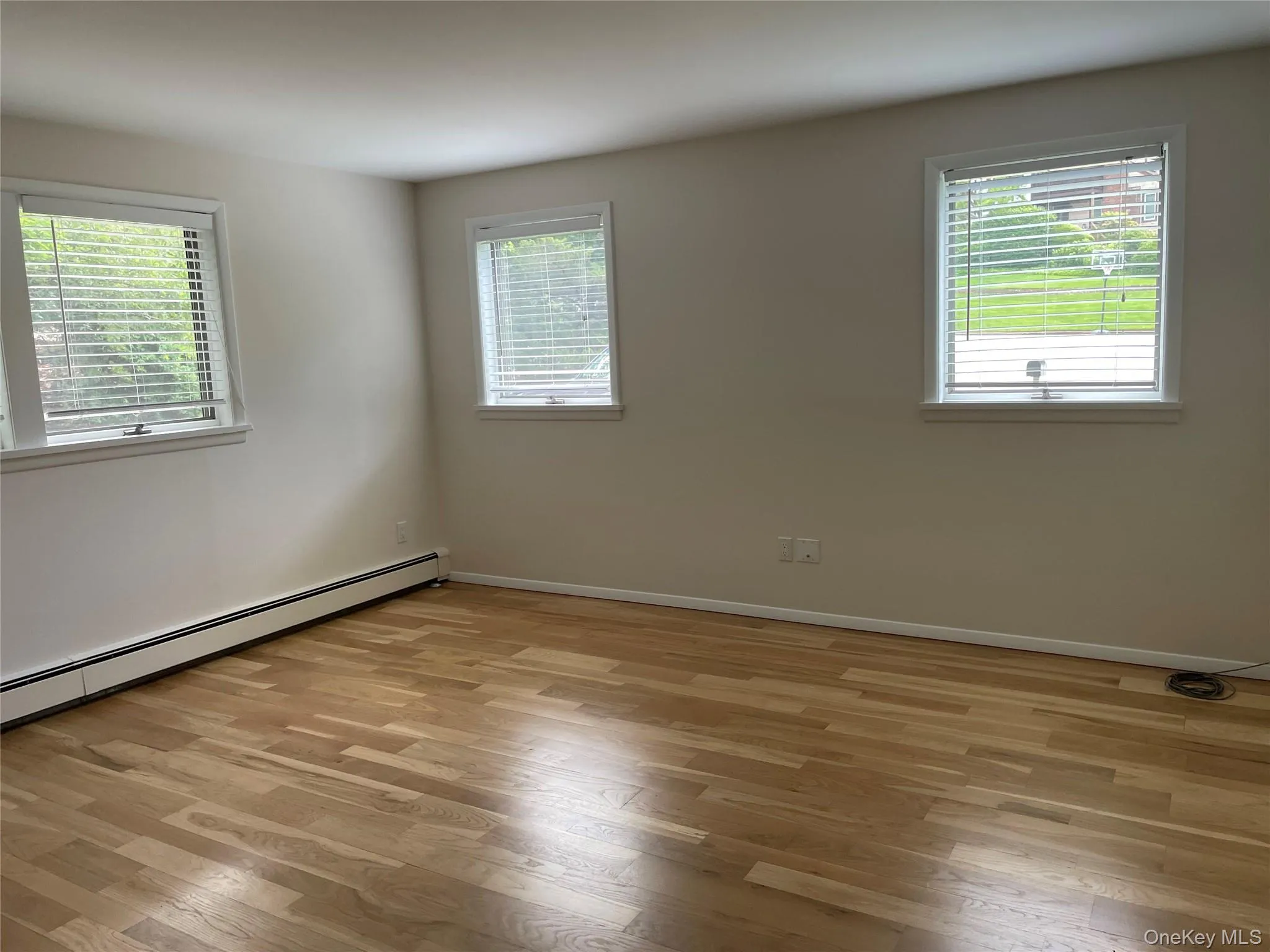 Living room with light wood-style flooring and a baseboard radiator Living room with light wood-style flooring and a baseboard radiator