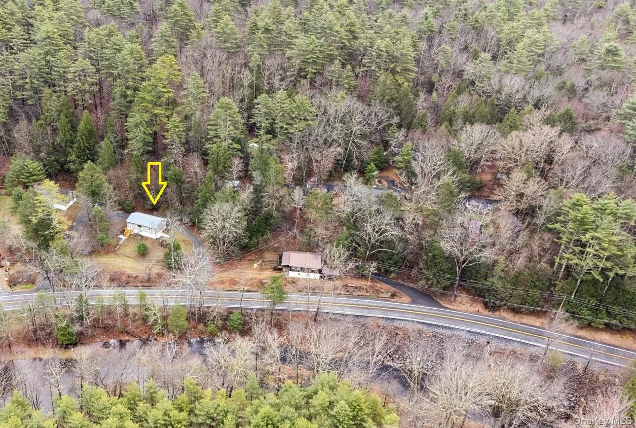 Drone / aerial view with a view of trees Drone / aerial view with a view of trees