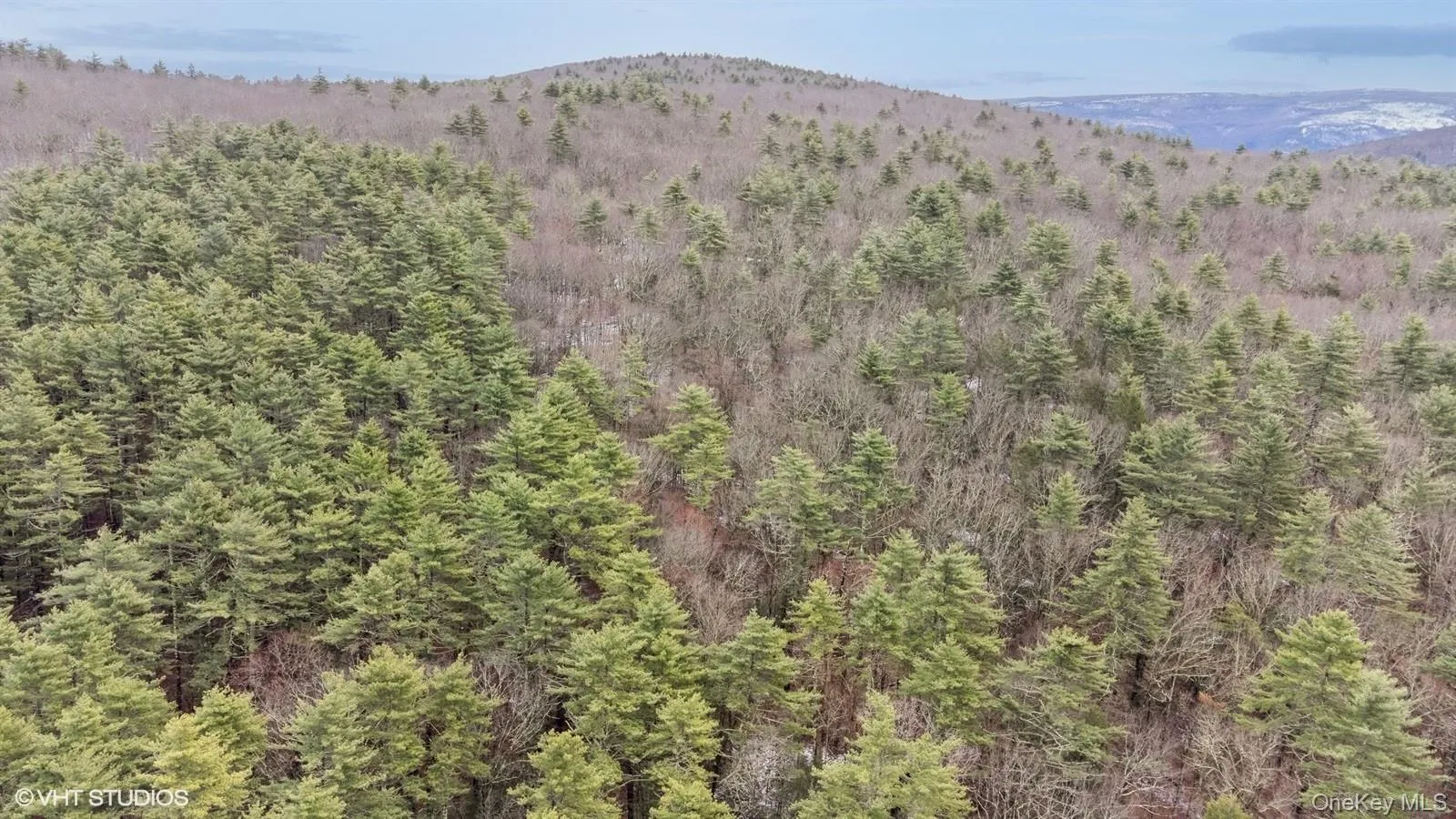 View of mountain feature with a forest view View of mountain feature with a forest view