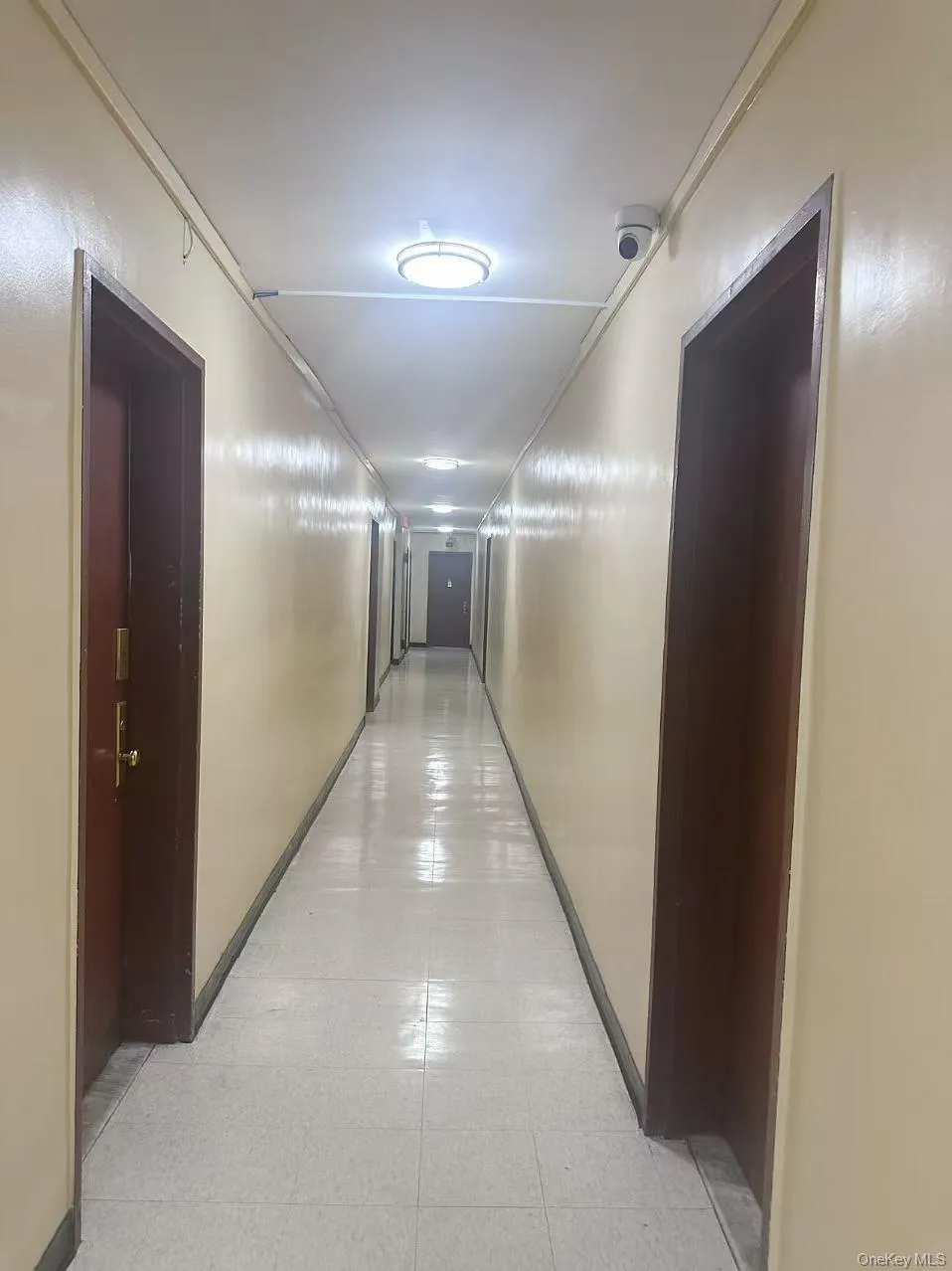 8616 60th Avenue, New York, NY, 1 Bedroom Bedrooms, 4 Rooms Rooms,1 BathroomBathrooms,Residential Sale,For Rent,60th,0,1001879 8616 60th Avenue, New York, NY, 1 Bedroom Bedrooms, 4 Rooms Rooms,1 BathroomBathrooms,Residential Sale,For Rent,60th,0,1001879