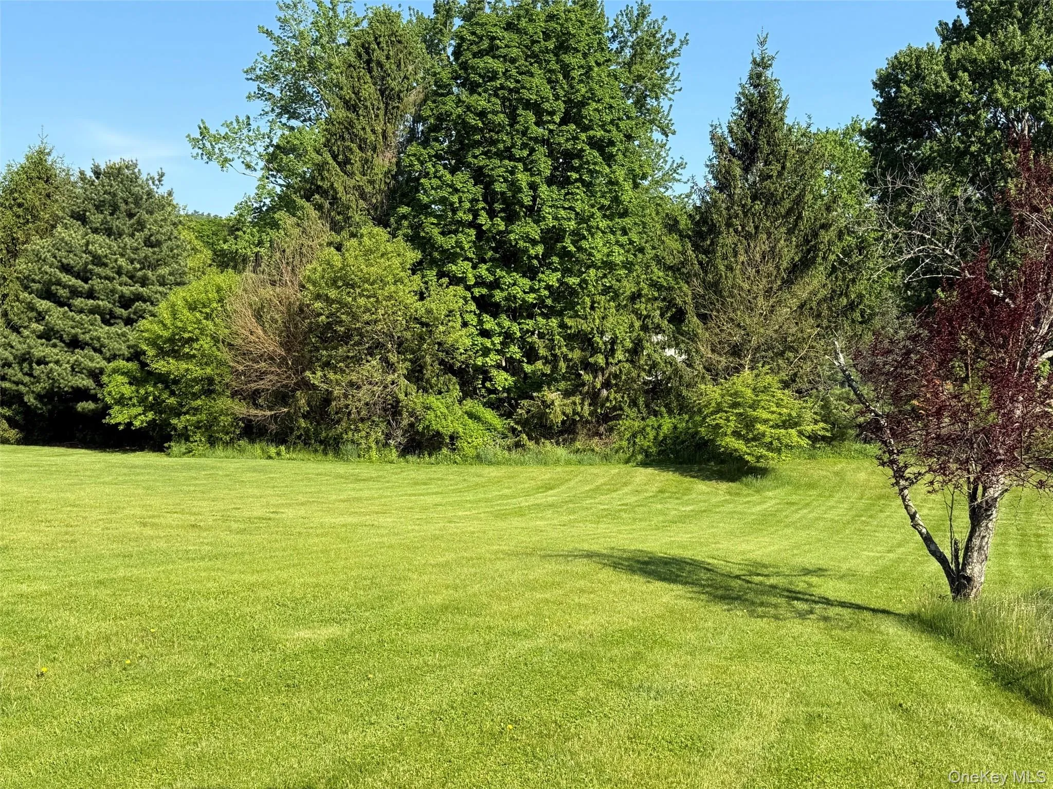 21 Ohandley Drive, Amenia, NY, 3 Bedrooms Bedrooms, 7 Rooms Rooms,3 BathroomsBathrooms,Residential,For Rent,Ohandley,0,1001908 21 Ohandley Drive, Amenia, NY, 3 Bedrooms Bedrooms, 7 Rooms Rooms,3 BathroomsBathrooms,Residential,For Rent,Ohandley,0,1001908