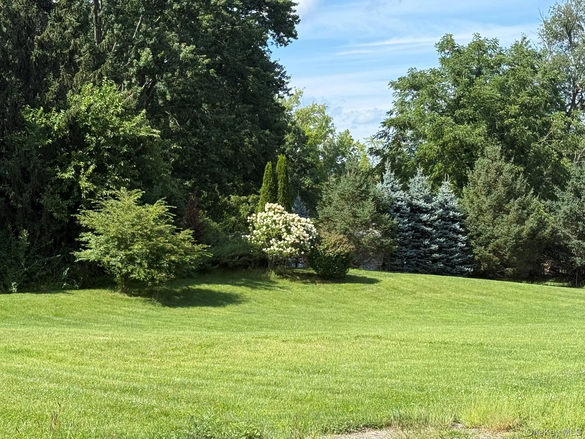 21 Ohandley Drive, Amenia, NY, 3 Bedrooms Bedrooms, 7 Rooms Rooms,3 BathroomsBathrooms,Residential,For Rent,Ohandley,0,1001908 21 Ohandley Drive, Amenia, NY, 3 Bedrooms Bedrooms, 7 Rooms Rooms,3 BathroomsBathrooms,Residential,For Rent,Ohandley,0,1001908