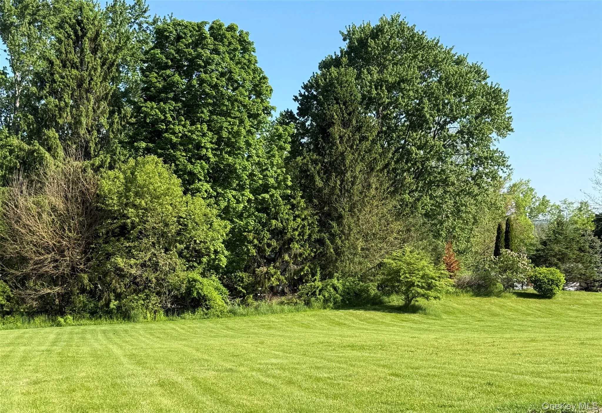21 Ohandley Drive, Amenia, NY, 3 Bedrooms Bedrooms, 7 Rooms Rooms,3 BathroomsBathrooms,Residential,For Rent,Ohandley,0,1001908 21 Ohandley Drive, Amenia, NY, 3 Bedrooms Bedrooms, 7 Rooms Rooms,3 BathroomsBathrooms,Residential,For Rent,Ohandley,0,1001908