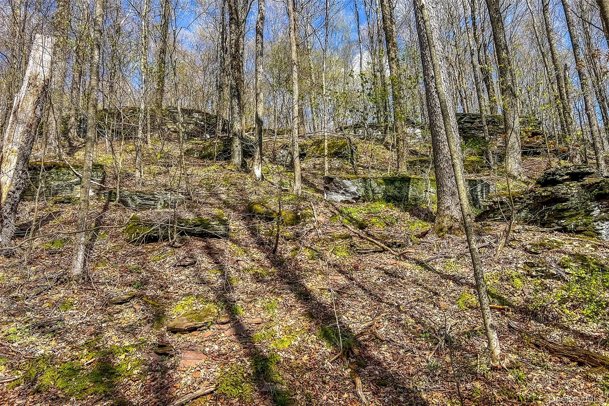 1264 Betty Brook Road, Kortright, NY, 3 Bedrooms Bedrooms, 8 Rooms Rooms,2 BathroomsBathrooms,Residential Sale,For Rent,Betty Brook,0,1001909 1264 Betty Brook Road, Kortright, NY, 3 Bedrooms Bedrooms, 8 Rooms Rooms,2 BathroomsBathrooms,Residential Sale,For Rent,Betty Brook,0,1001909
