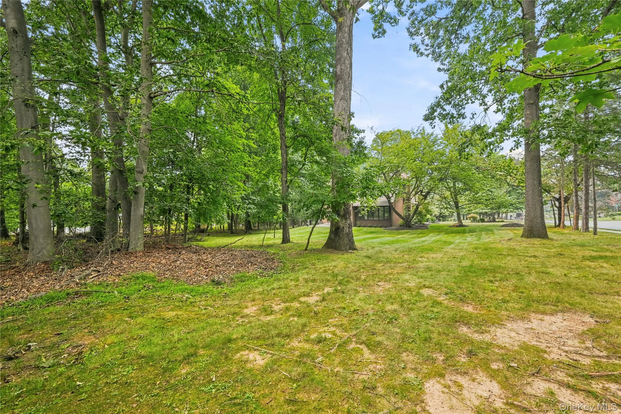 Parklike .93 Acre, Lawn and woods Parklike .93 Acre, Lawn and woods
