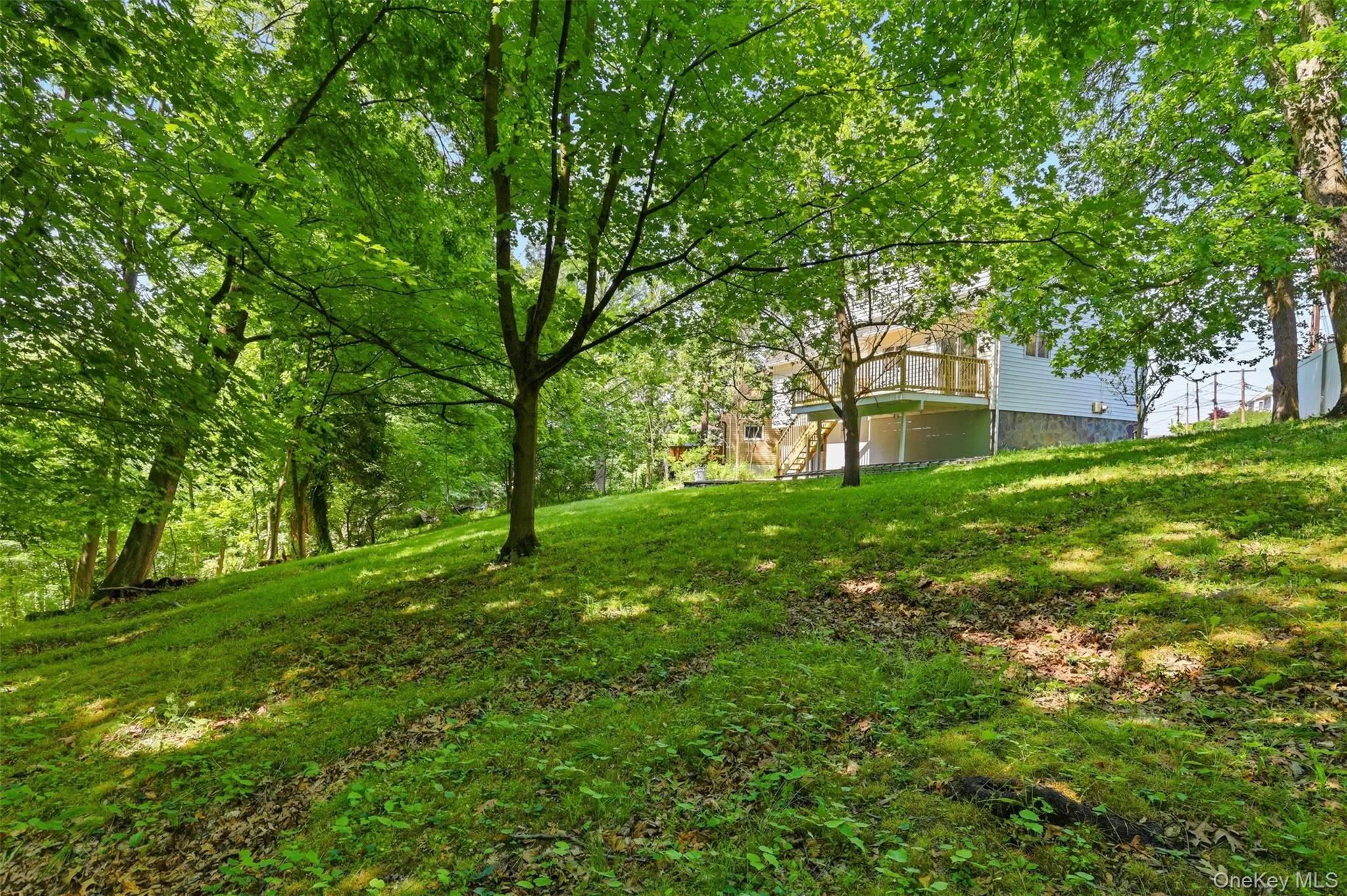 Lush, sloped yard featuring mature trees and verdant foliage Lush, sloped yard featuring mature trees and verdant foliage