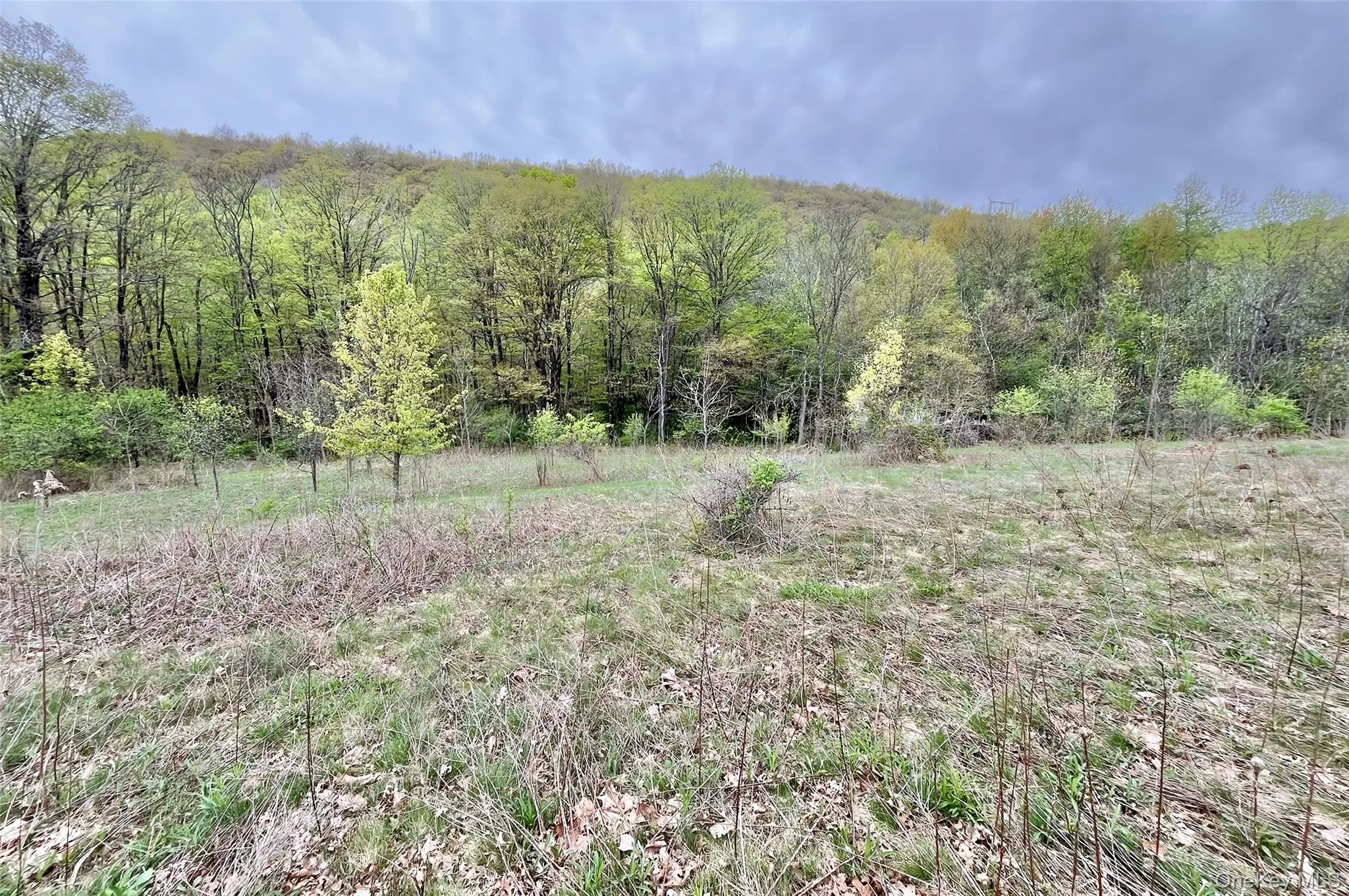 430 Kirbytown Road, Middletown, NY, 4 Bedrooms Bedrooms, 12 Rooms Rooms,2 BathroomsBathrooms,Residential Sale,For Rent,Kirbytown,0,1002004 430 Kirbytown Road, Middletown, NY, 4 Bedrooms Bedrooms, 12 Rooms Rooms,2 BathroomsBathrooms,Residential Sale,For Rent,Kirbytown,0,1002004