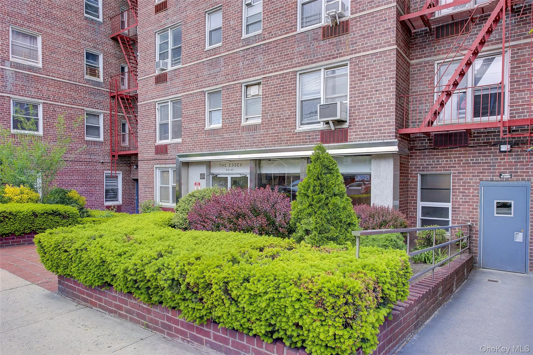 63-45 Saunders Street, New York, NY, 1 Bedroom Bedrooms, 3 Rooms Rooms,1 BathroomBathrooms,Residential,For Rent,Saunders,0,1002008 63-45 Saunders Street, New York, NY, 1 Bedroom Bedrooms, 3 Rooms Rooms,1 BathroomBathrooms,Residential,For Rent,Saunders,0,1002008