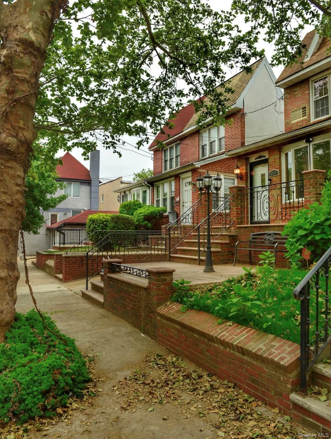 Beautiful Tree-Lined Street Beautiful Tree-Lined Street
