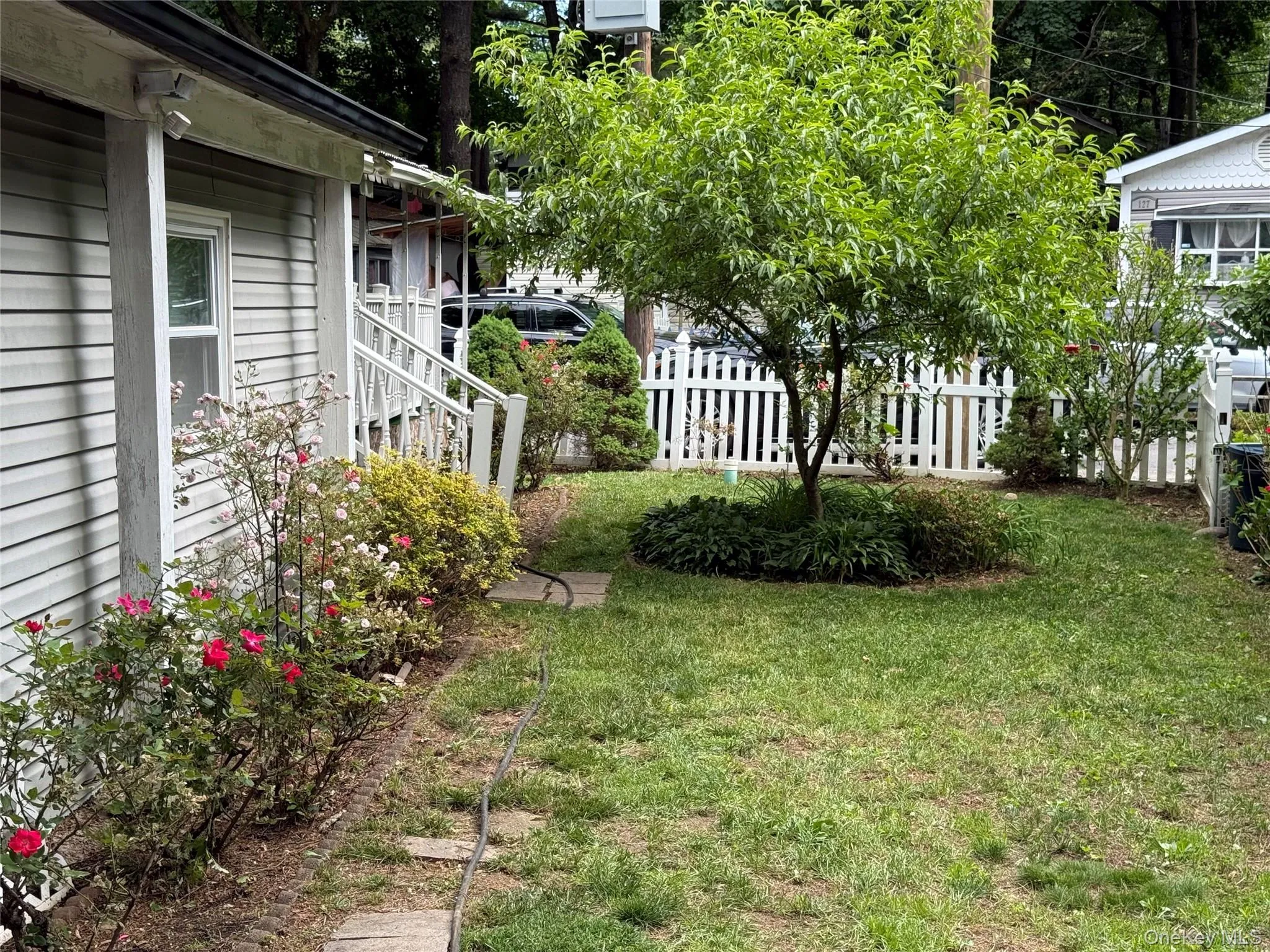 Expansive green lawn with a mature central tree and a white picket fence Expansive green lawn with a mature central tree and a white picket fence