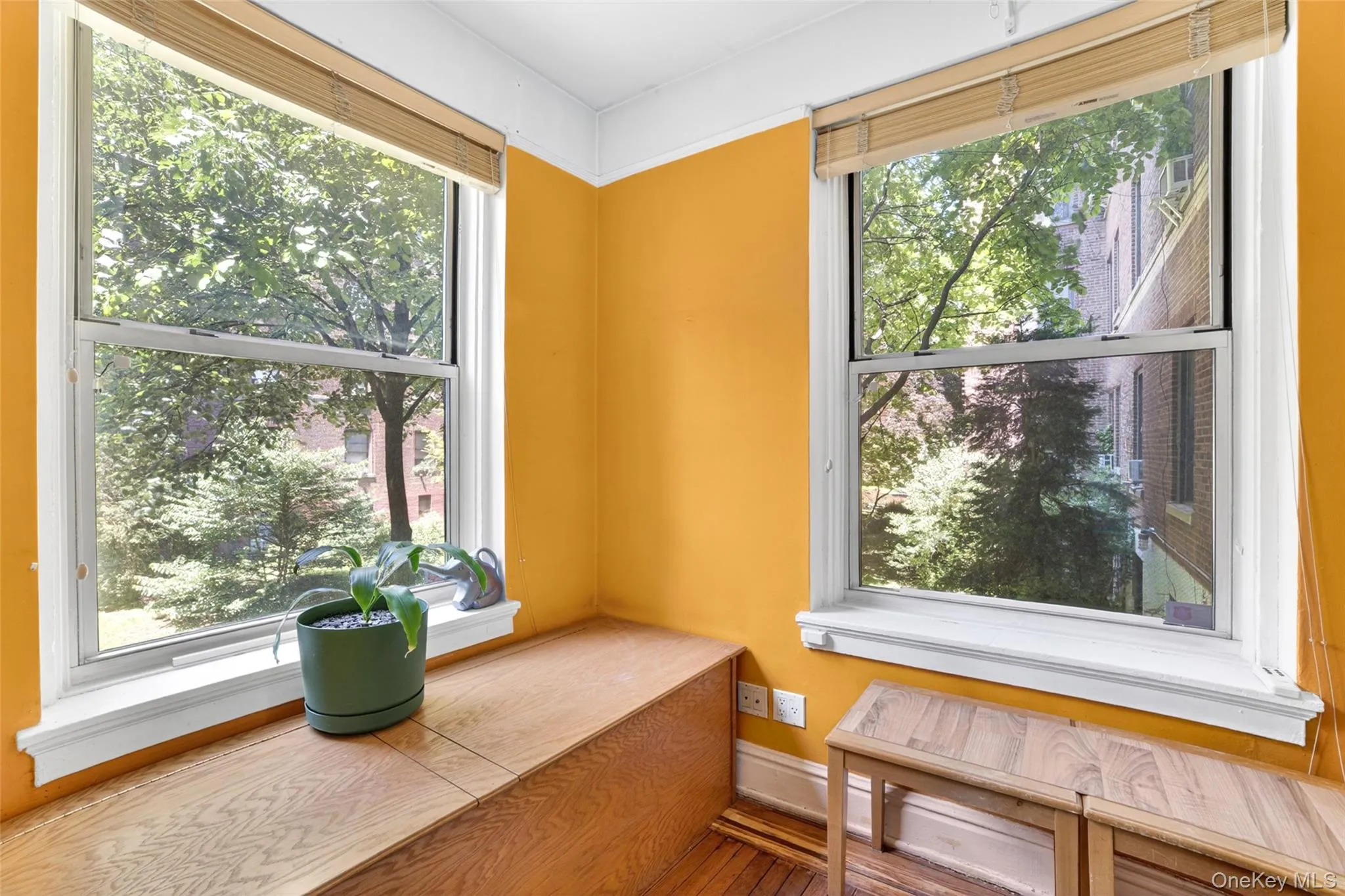 37-32 80th Street, New York, NY, 2 Bedrooms Bedrooms, 7 Rooms Rooms,1 BathroomBathrooms,Residential,For Rent,Street,0,1002055 37-32 80th Street, New York, NY, 2 Bedrooms Bedrooms, 7 Rooms Rooms,1 BathroomBathrooms,Residential,For Rent,Street,0,1002055