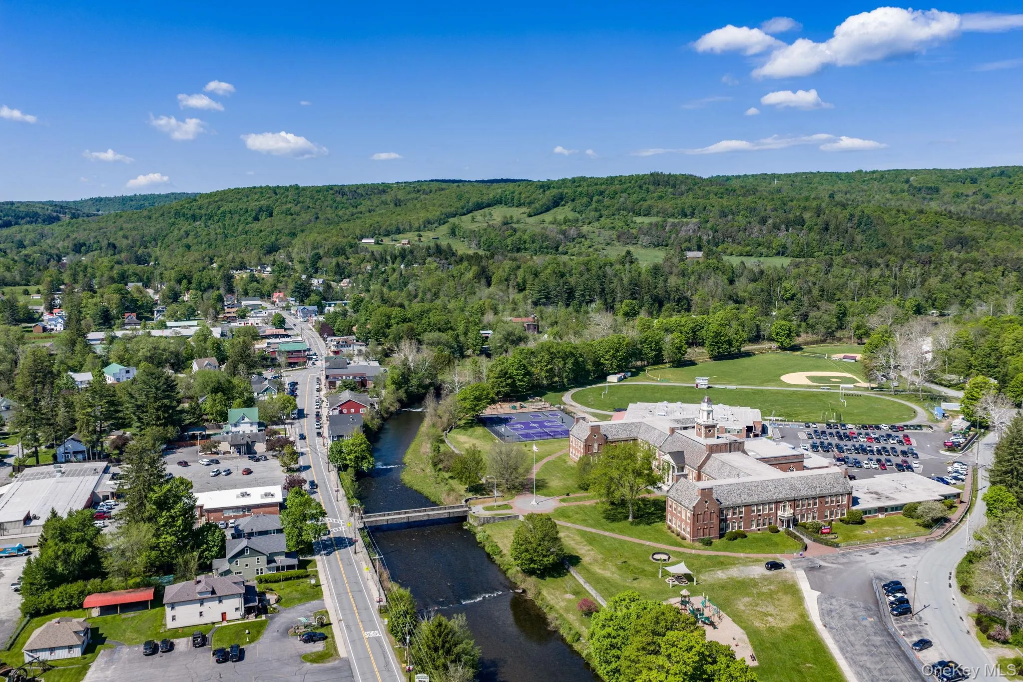 Aerial overview of Livingston Manor Aerial overview of Livingston Manor