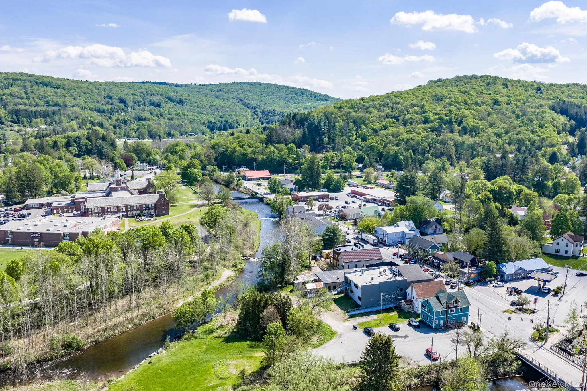 Aerial Livingston Manor Aerial Livingston Manor