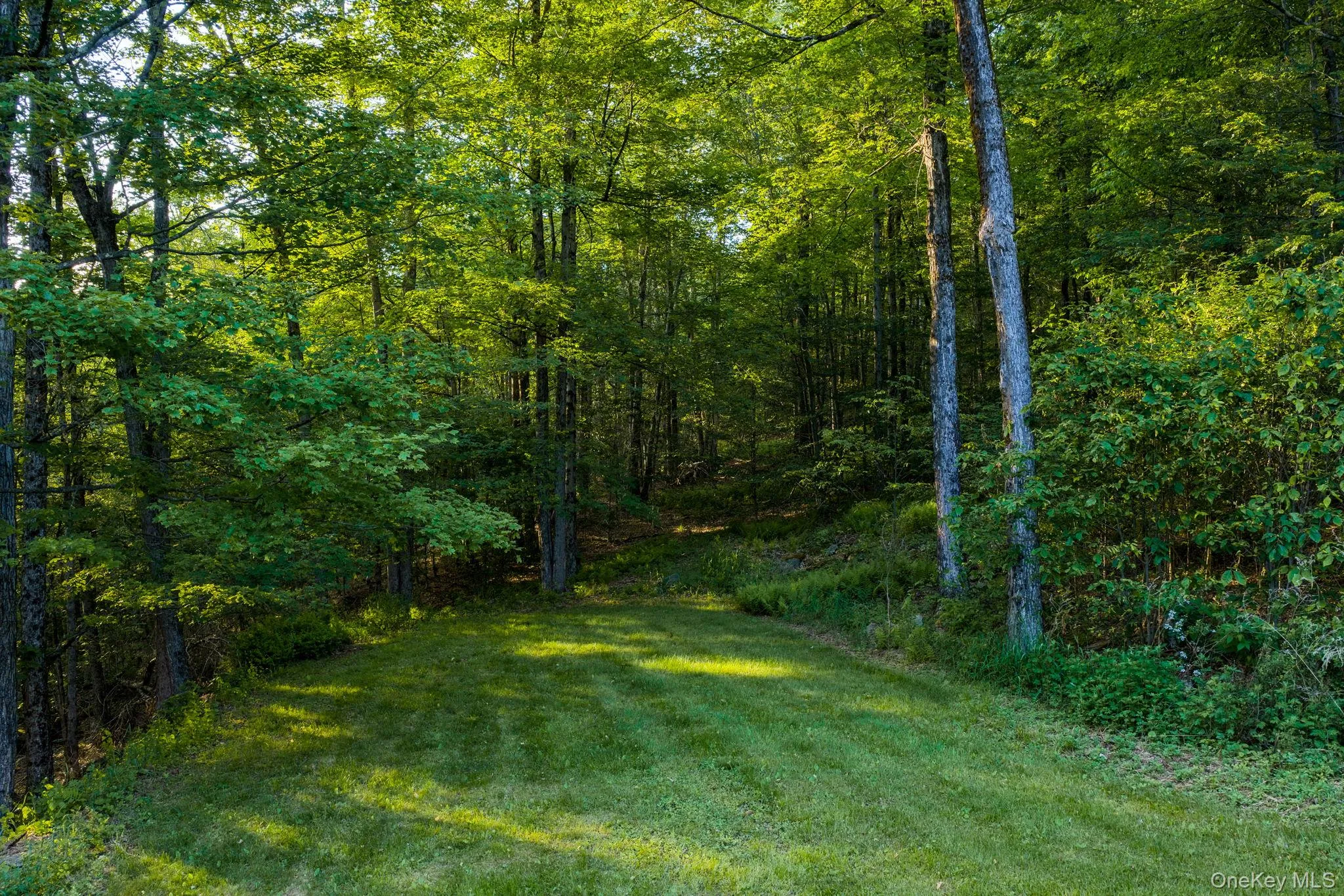 34 Turkey Hollow Lane, Rockland, NY, 4 Bedrooms Bedrooms, 10 Rooms Rooms,2 BathroomsBathrooms,Residential,For Rent,Turkey Hollow,0,1002067 34 Turkey Hollow Lane, Rockland, NY, 4 Bedrooms Bedrooms, 10 Rooms Rooms,2 BathroomsBathrooms,Residential,For Rent,Turkey Hollow,0,1002067