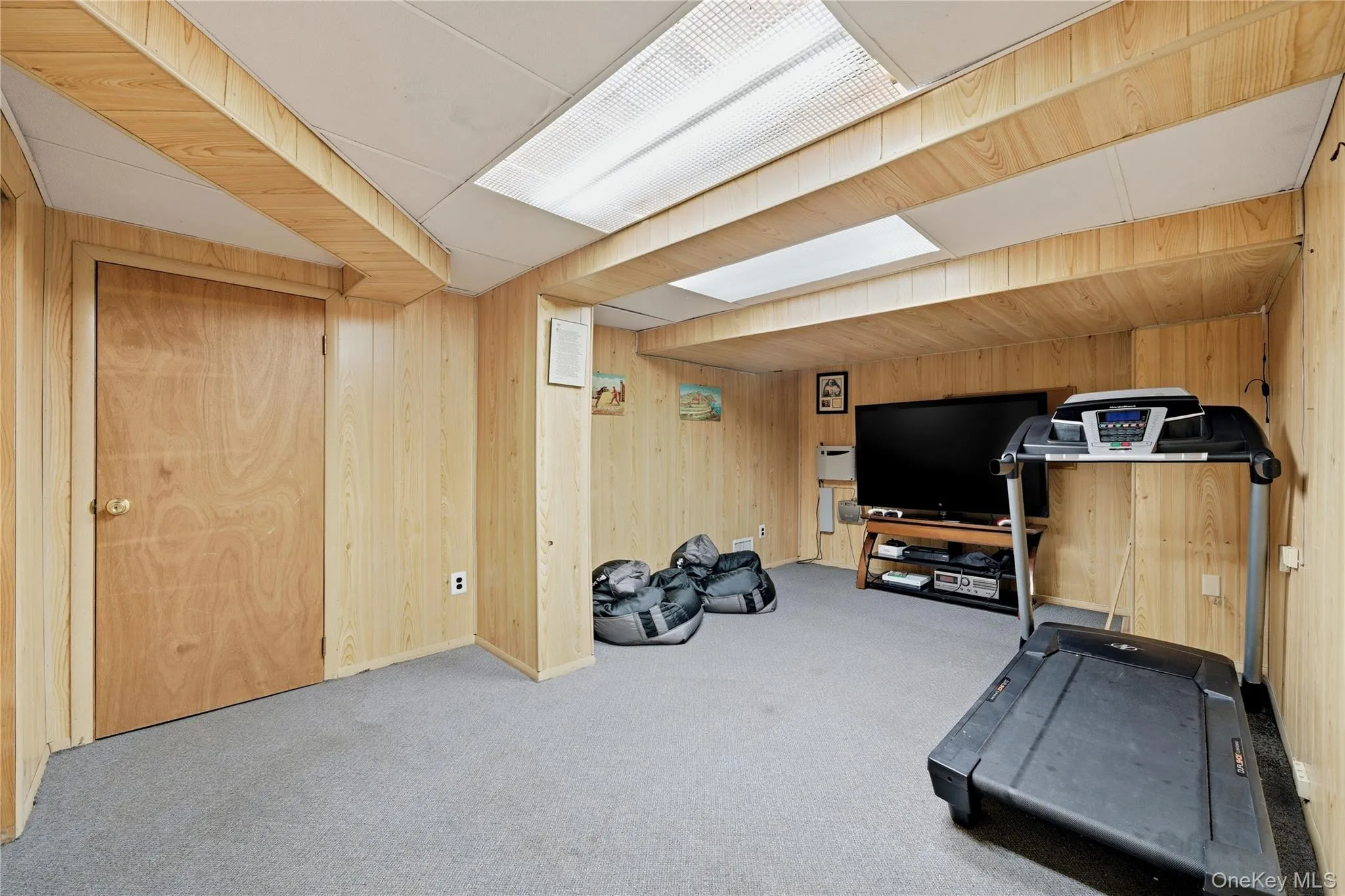 Finished Basement Area being used as Workout Room & Video Game Room Finished Basement Area being used as Workout Room & Video Game Room