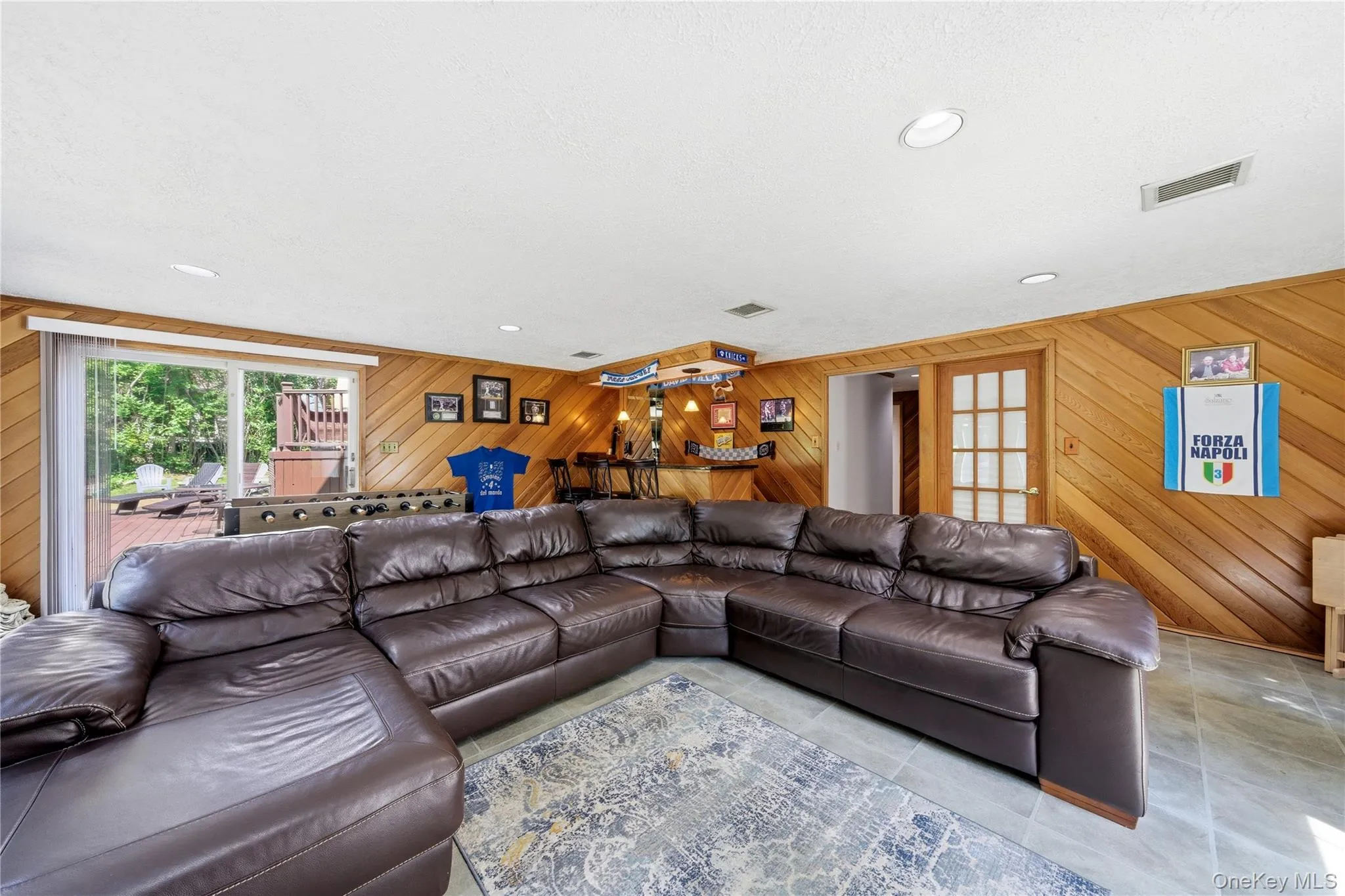 Lower Level - Recreational Room w/ Sliding Glass Doors to Lower Deck/Patio and Access to Office Lower Level - Recreational Room w/ Sliding Glass Doors to Lower Deck/Patio and Access to Office